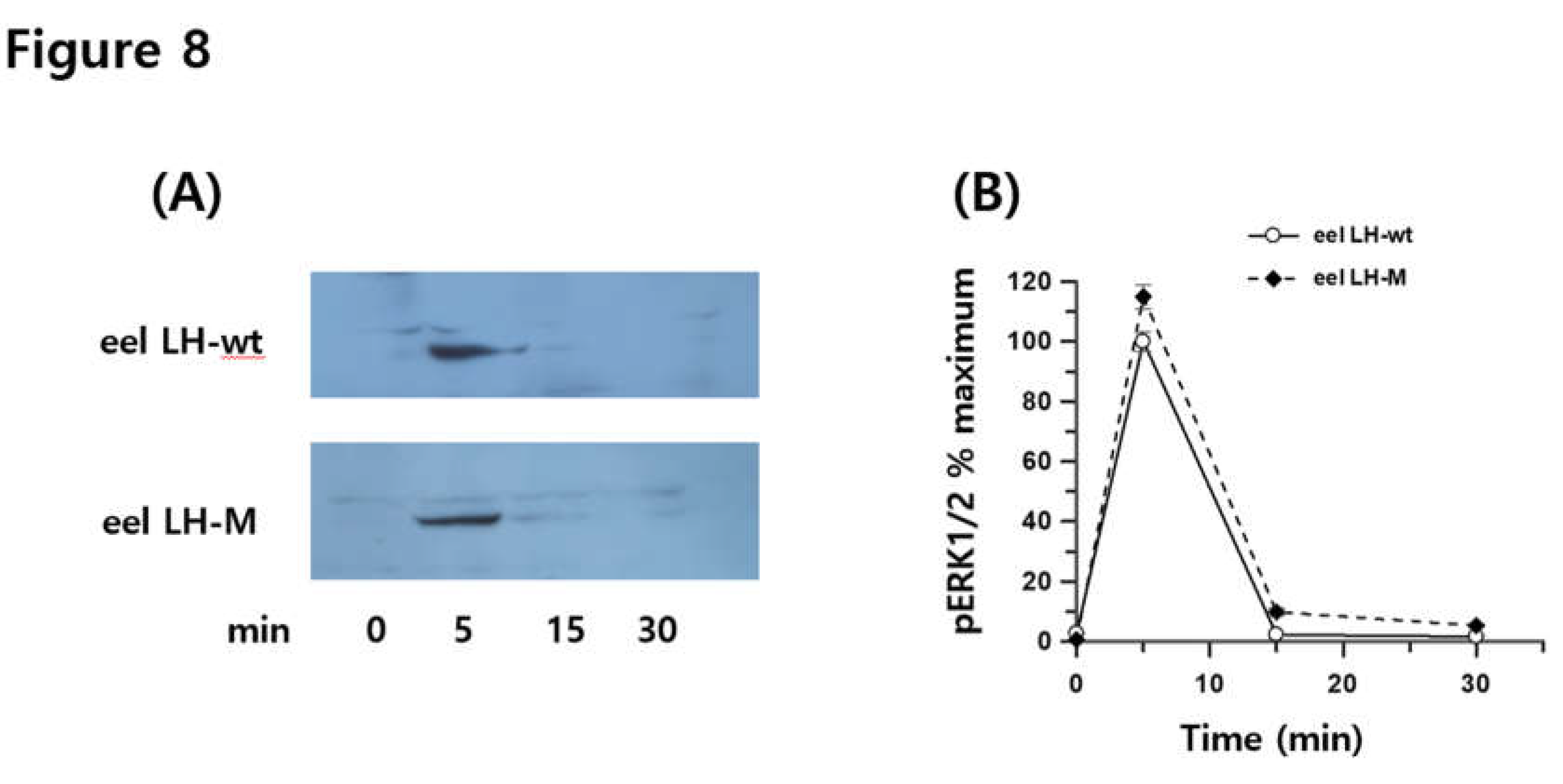 Preprints 106610 g008