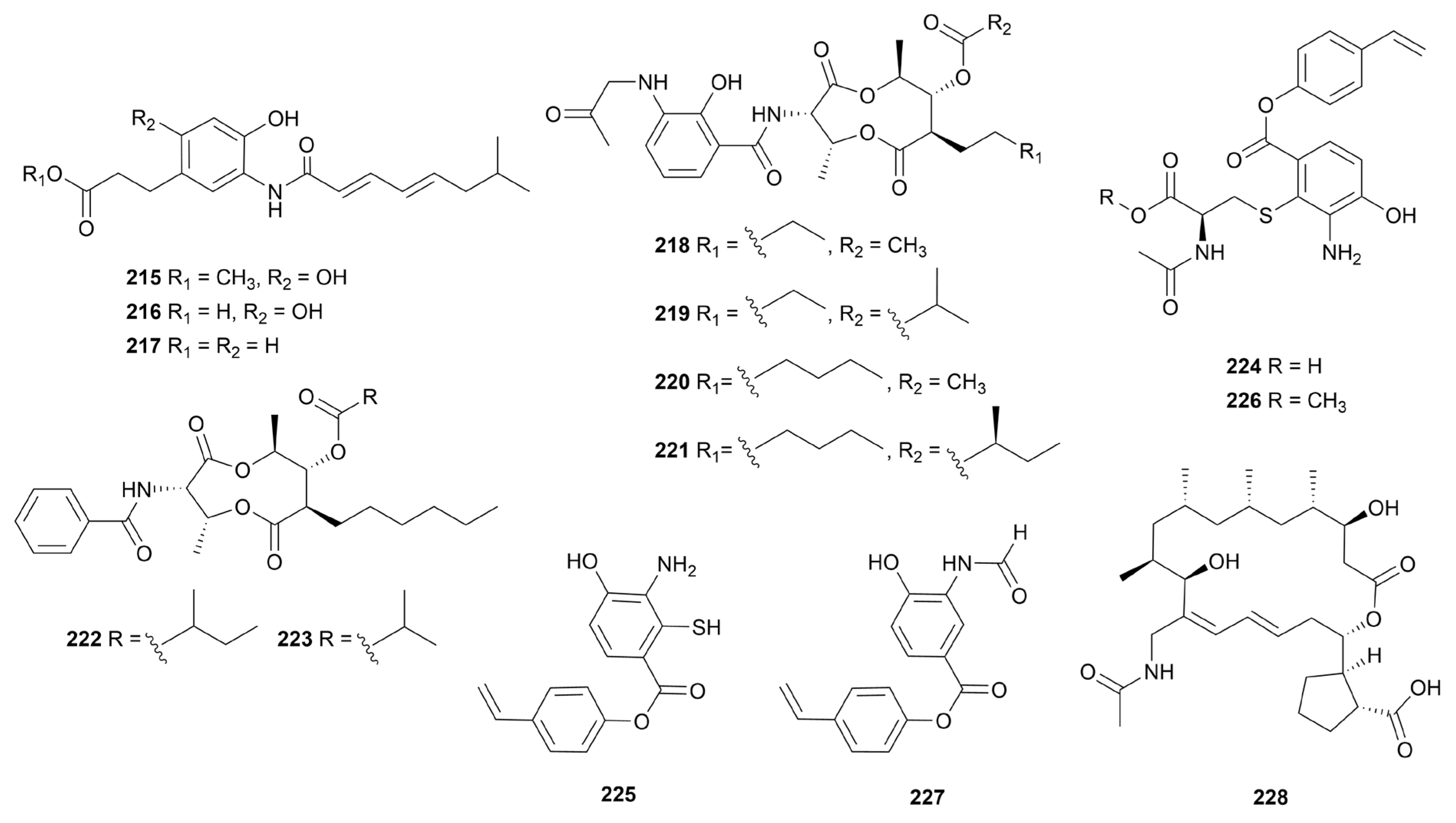 Preprints 93689 g015