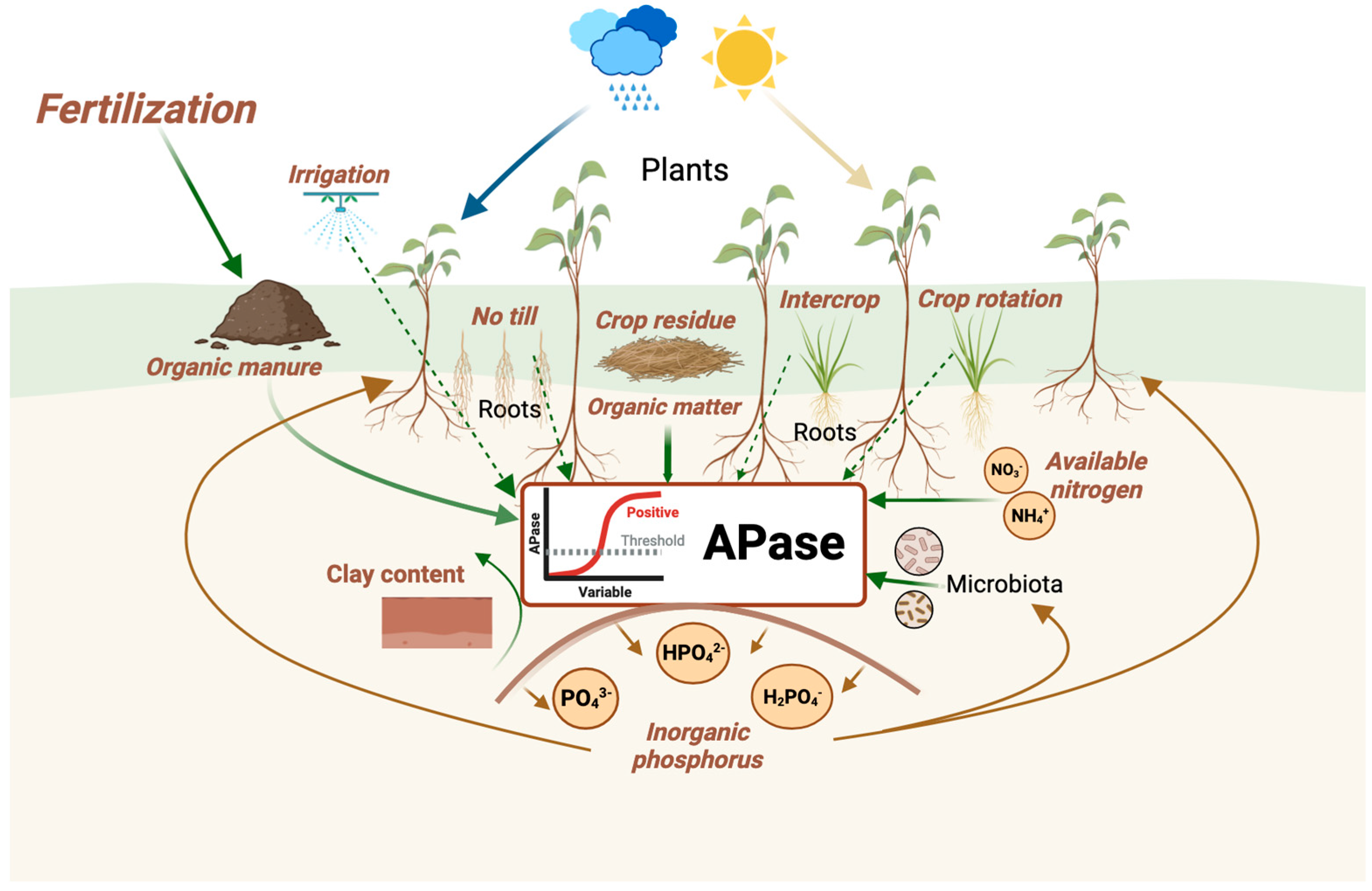 Preprints 96755 g010