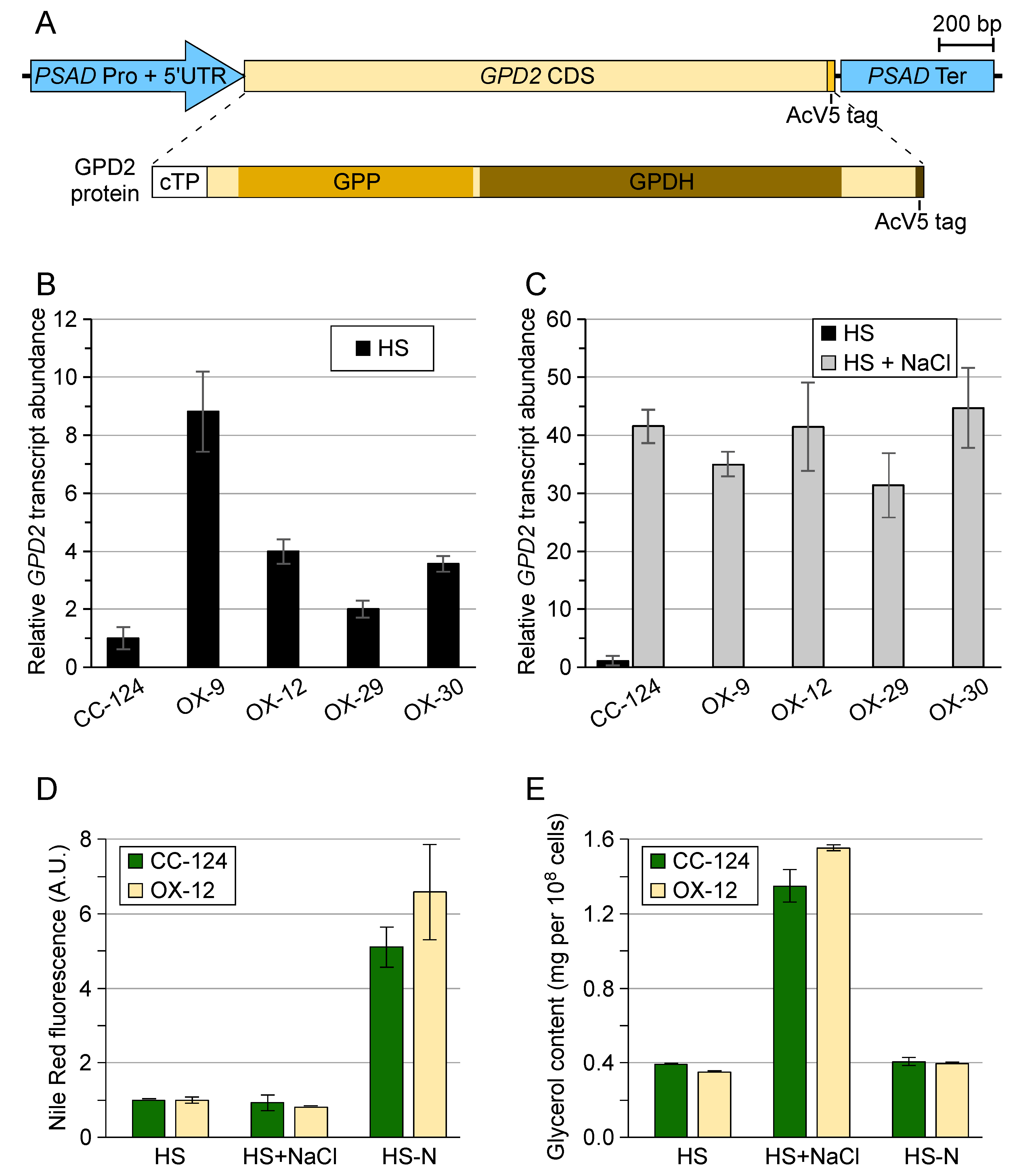 Preprints 100273 g002