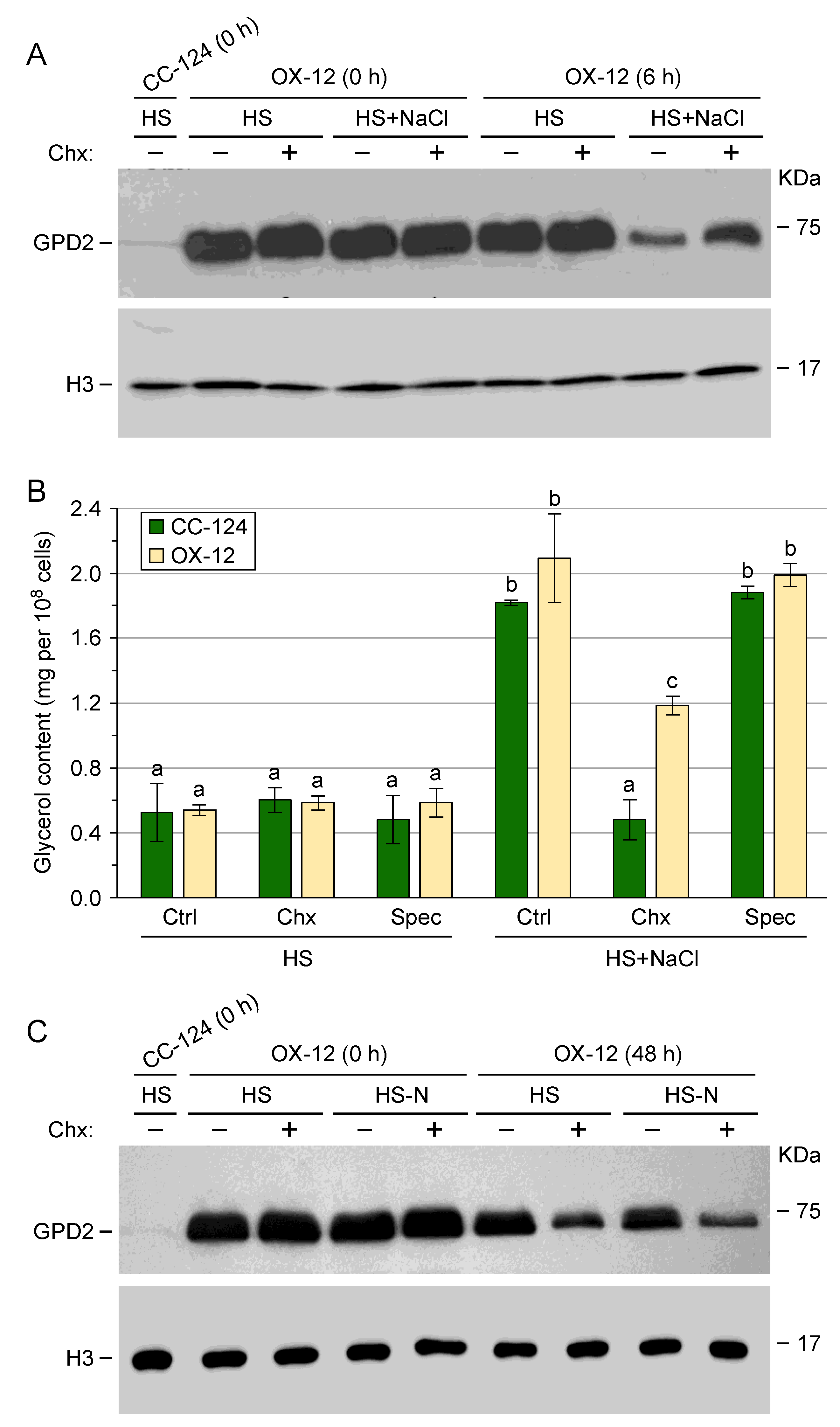 Preprints 100273 g003