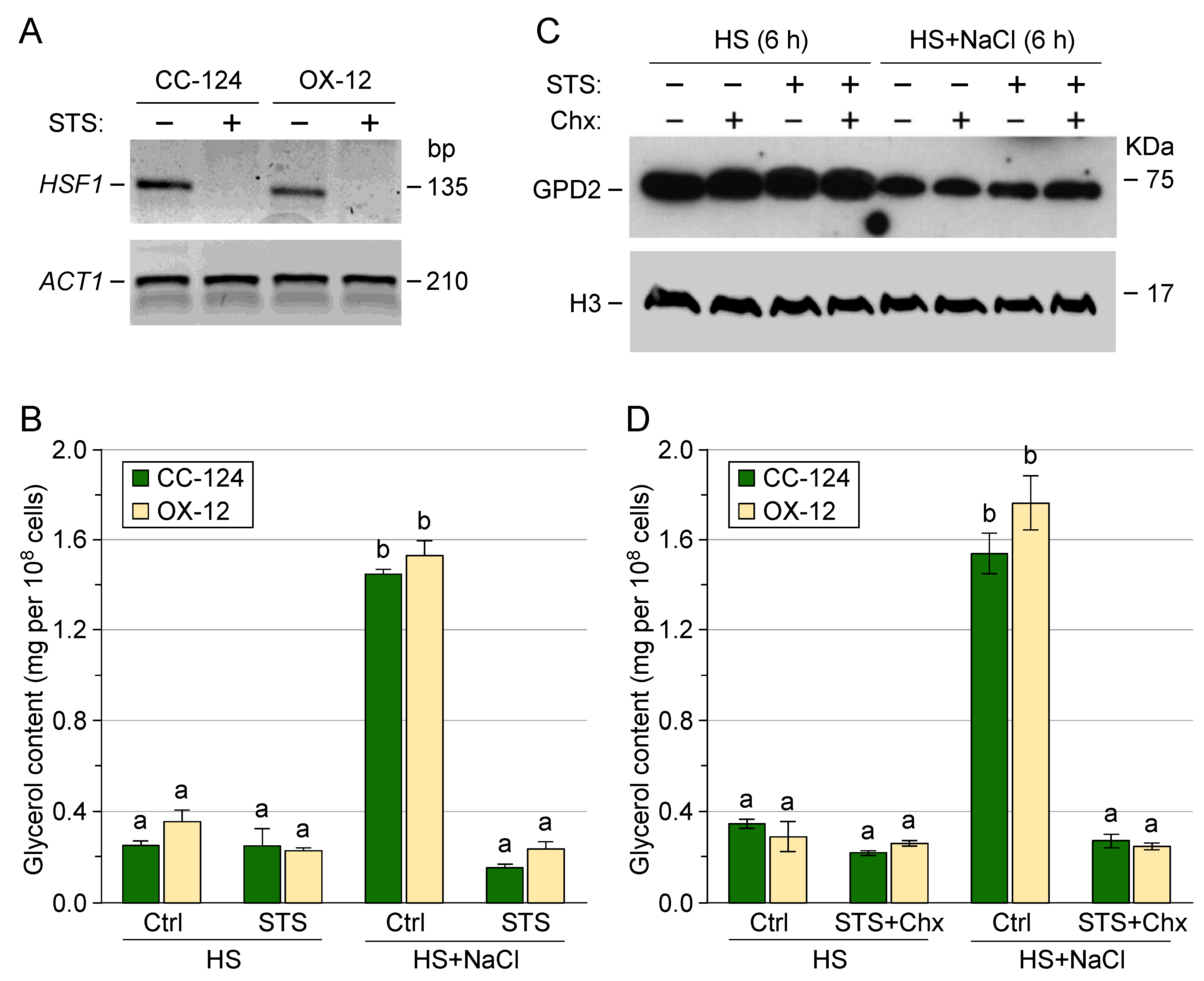 Preprints 100273 g005