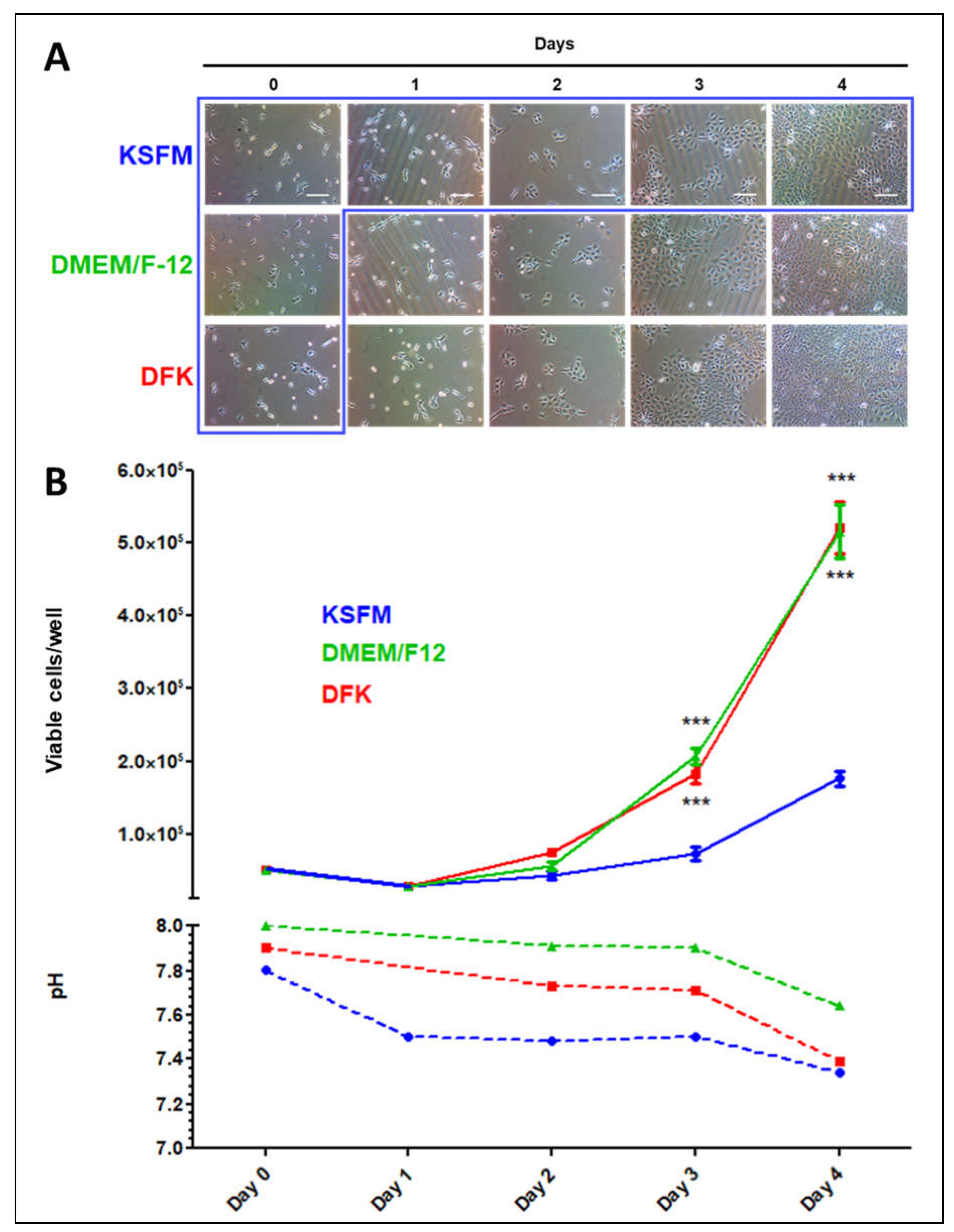 Preprints 70370 g002