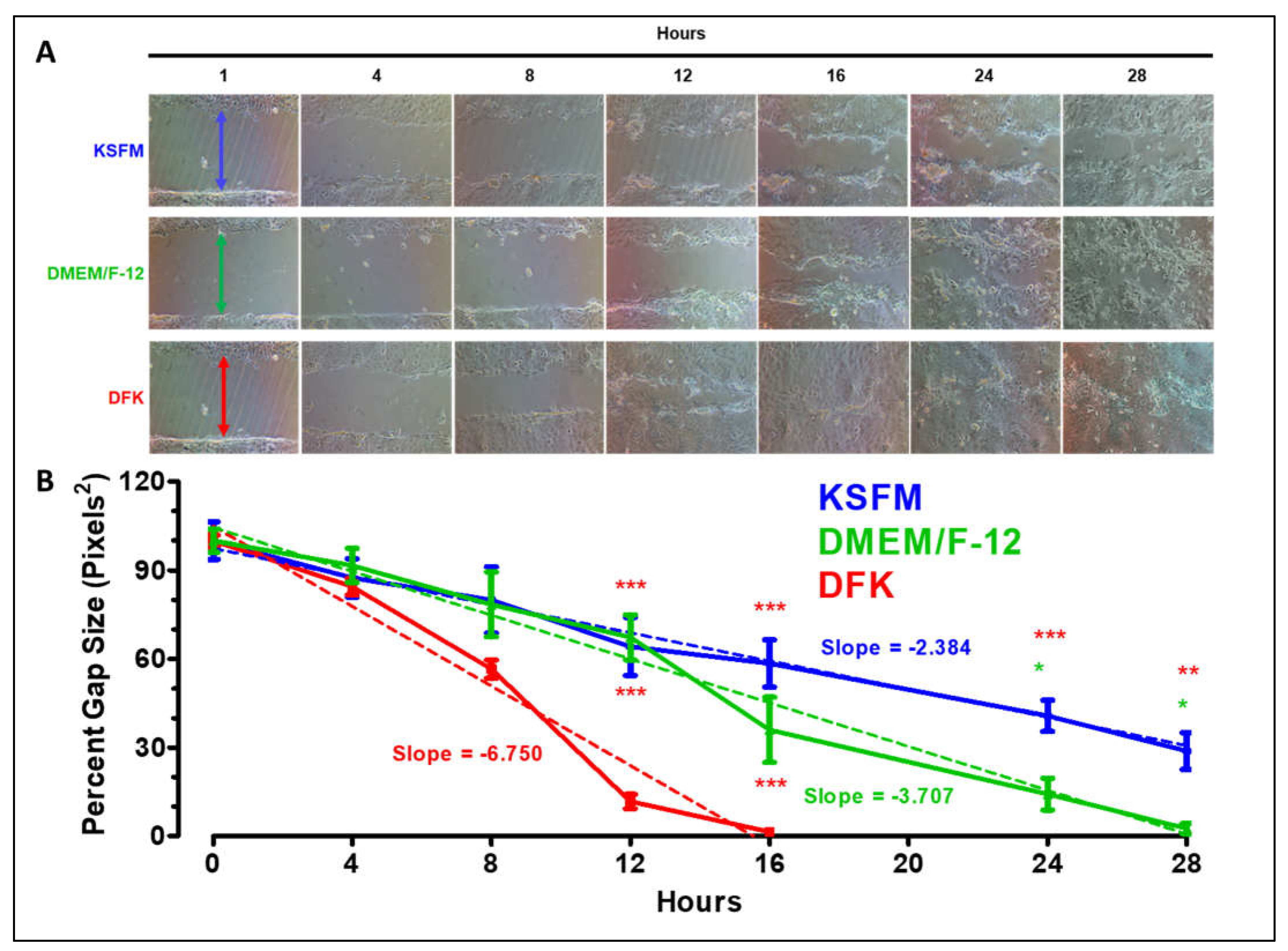 Preprints 70370 g003