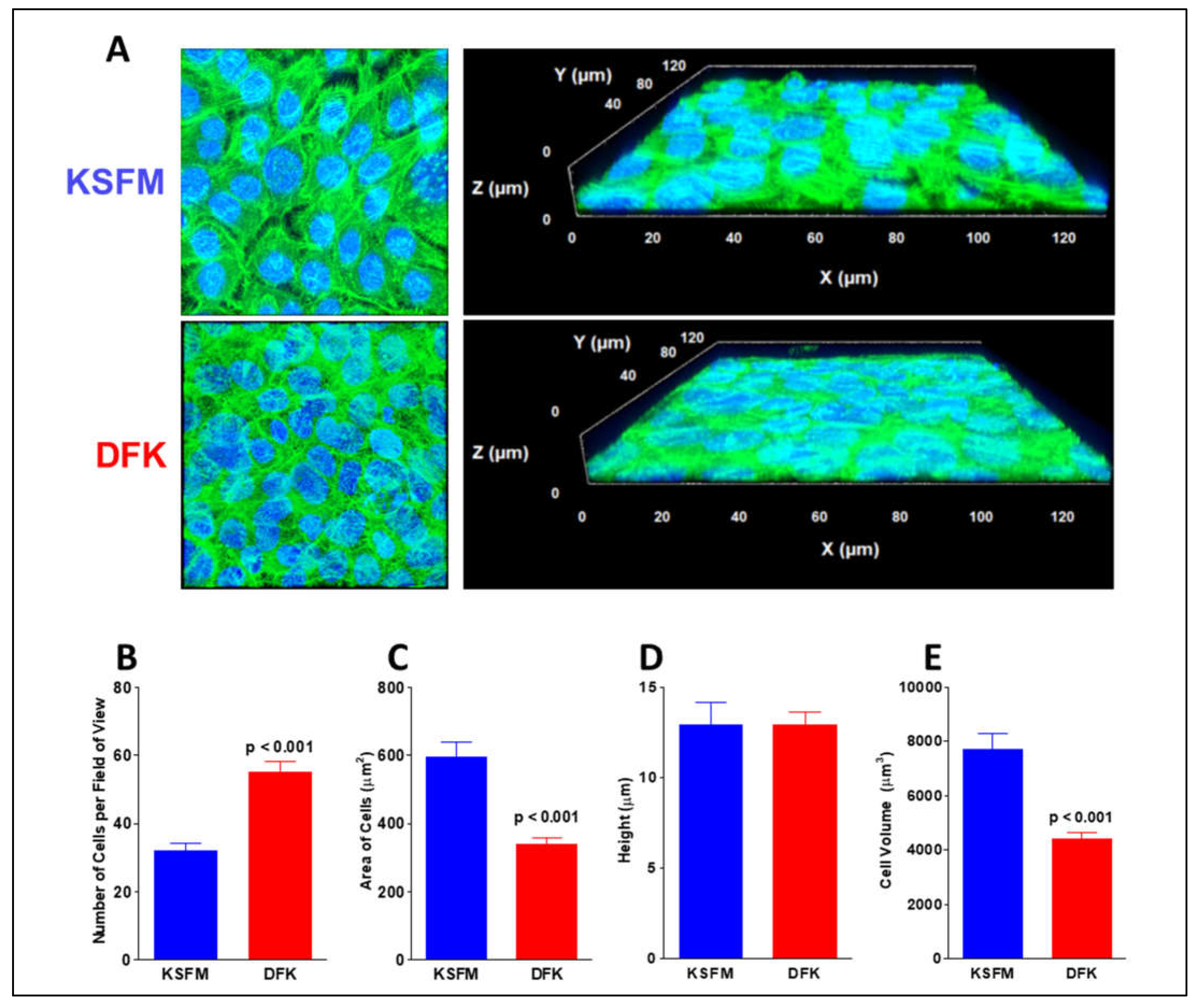 Preprints 70370 g004