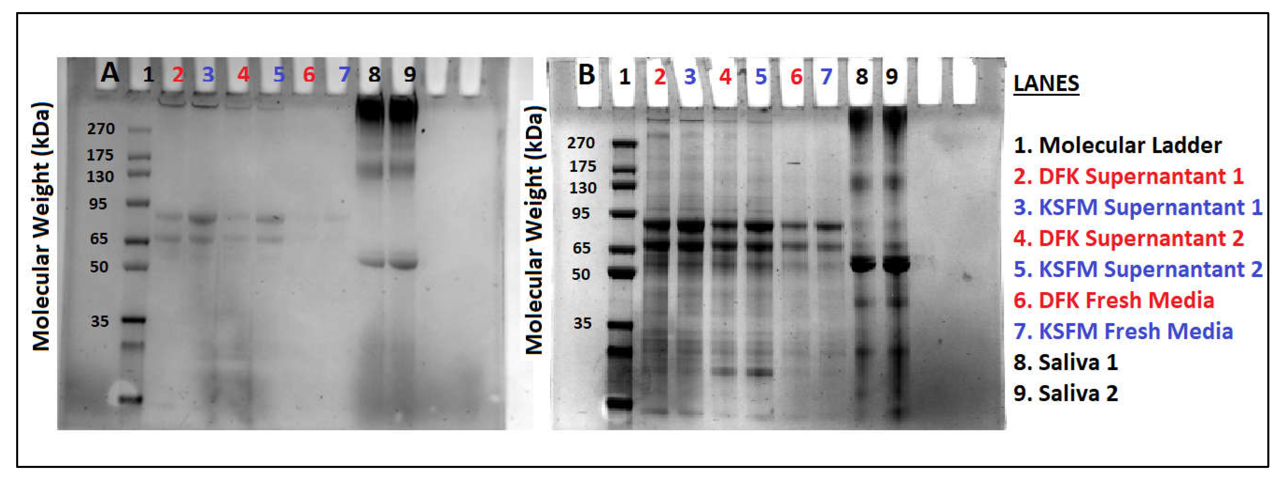 Preprints 70370 g006