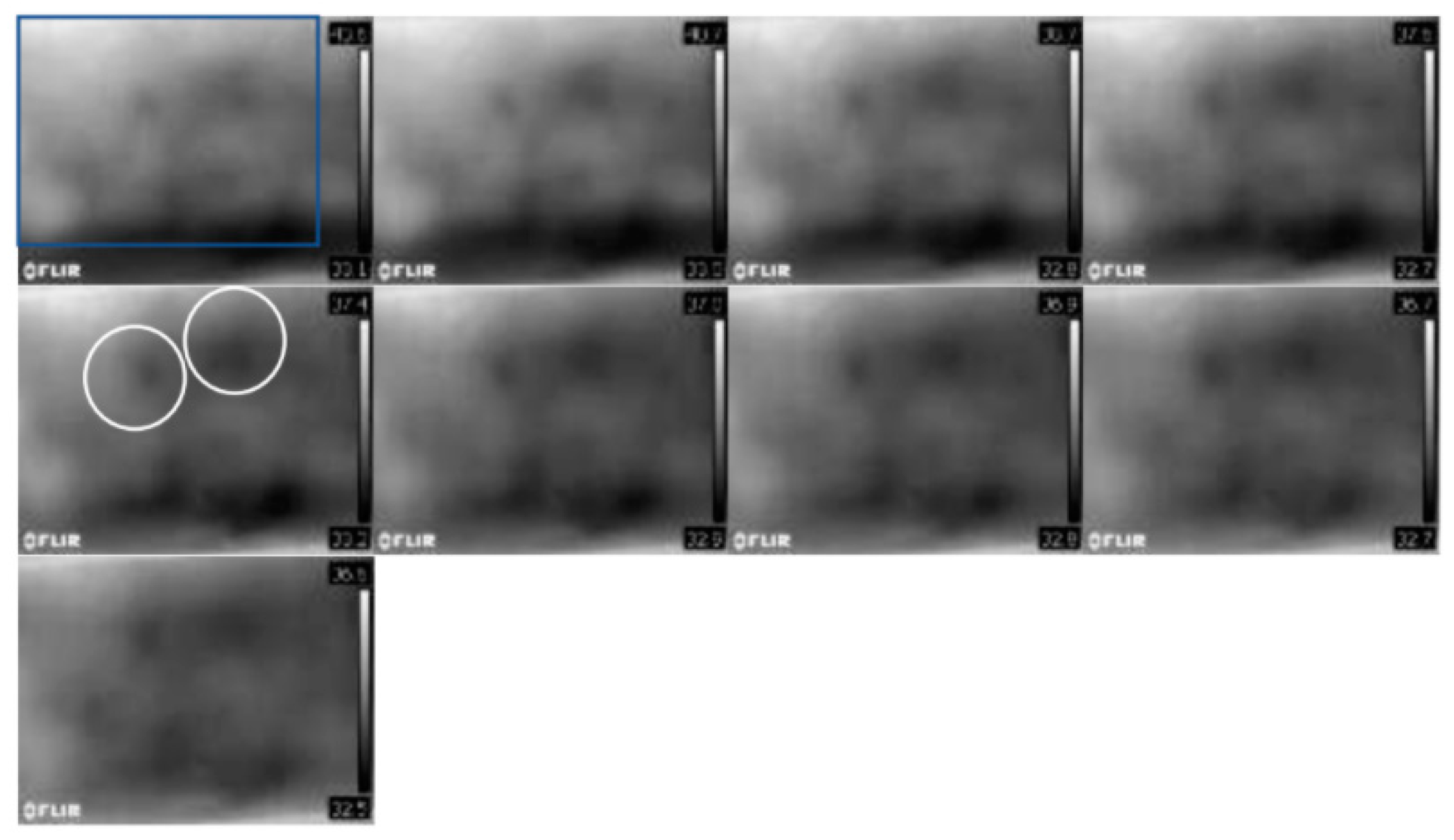 Preprints 82242 g007