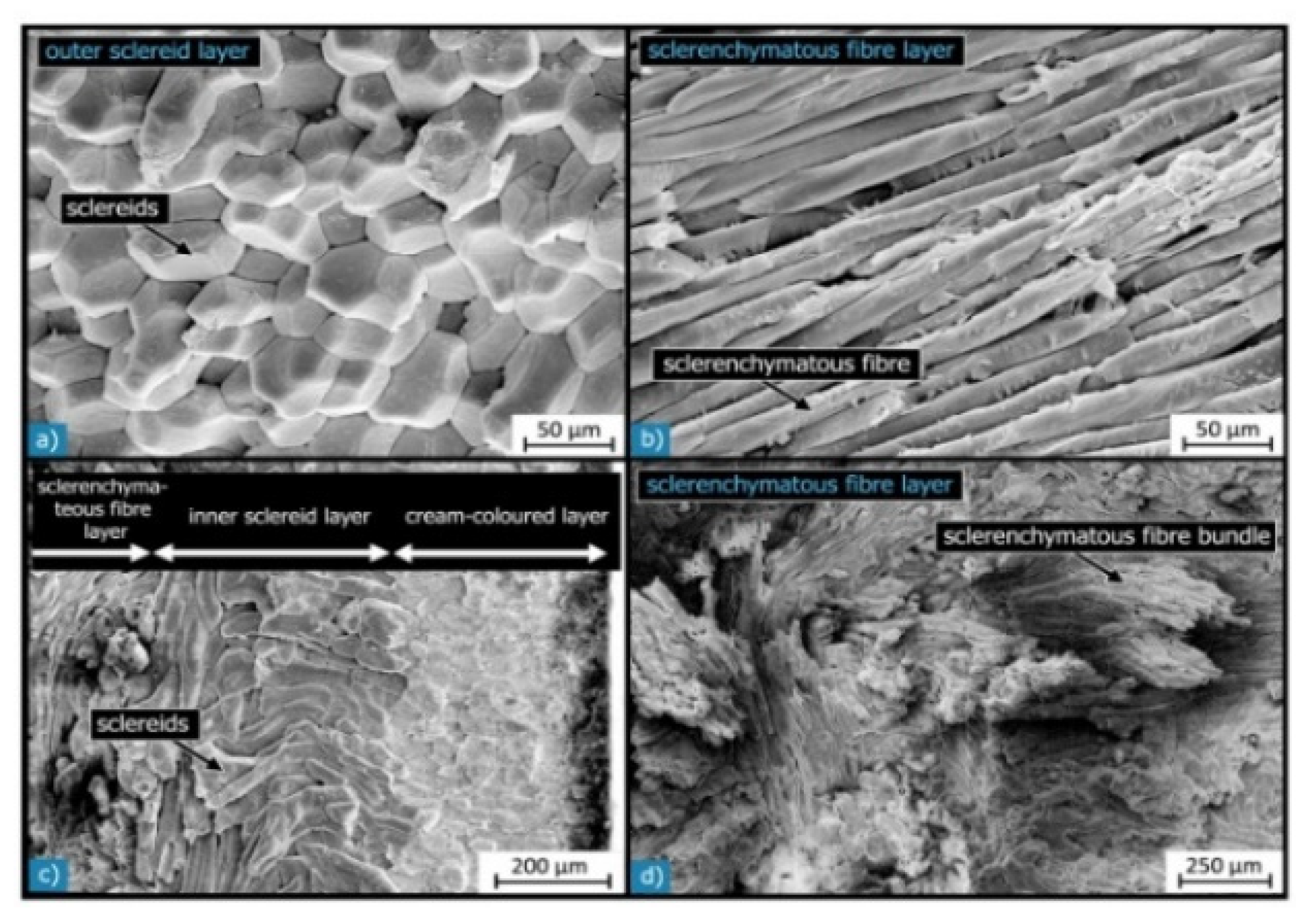 Preprints 79669 g005