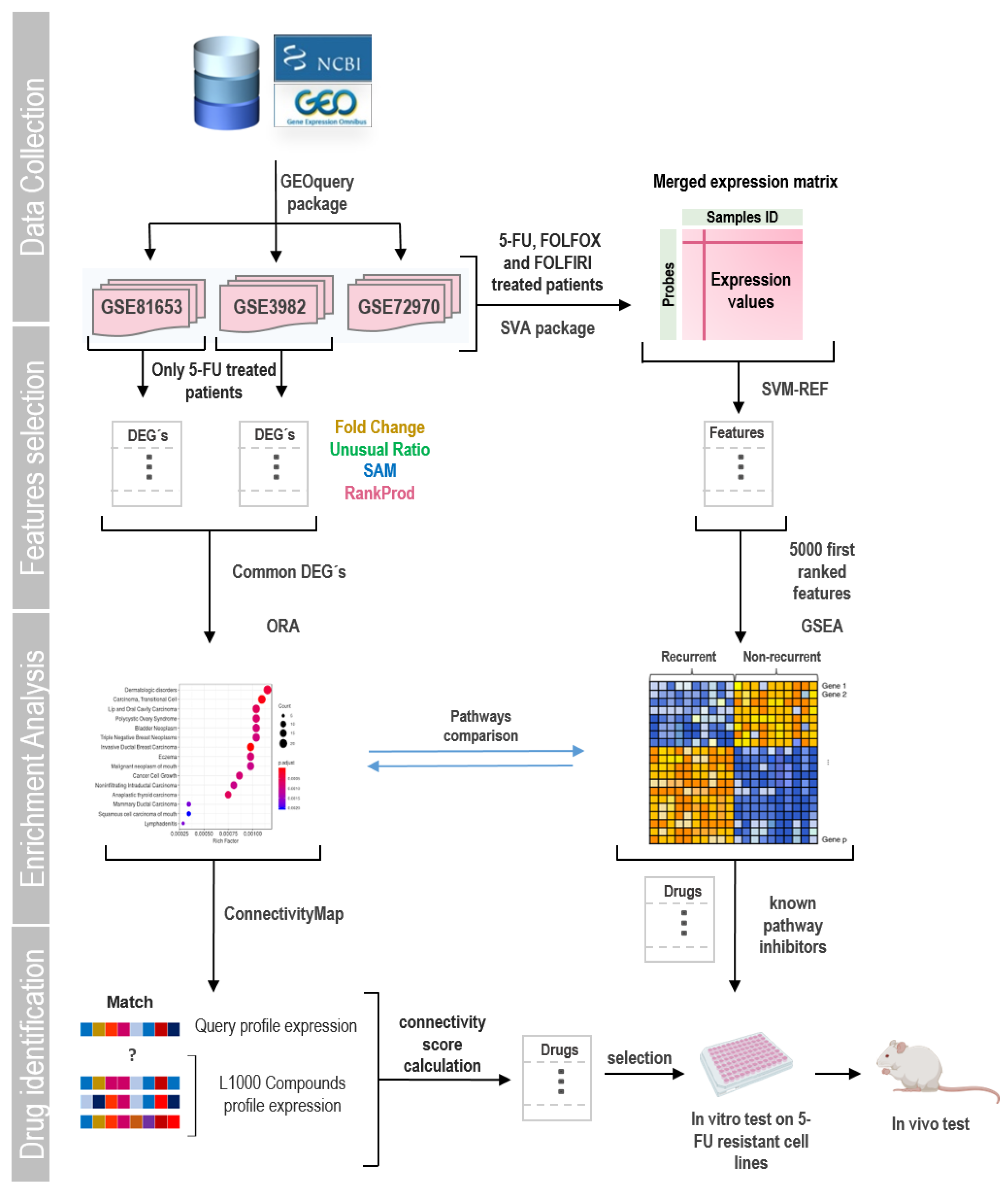 Preprints 116247 g001