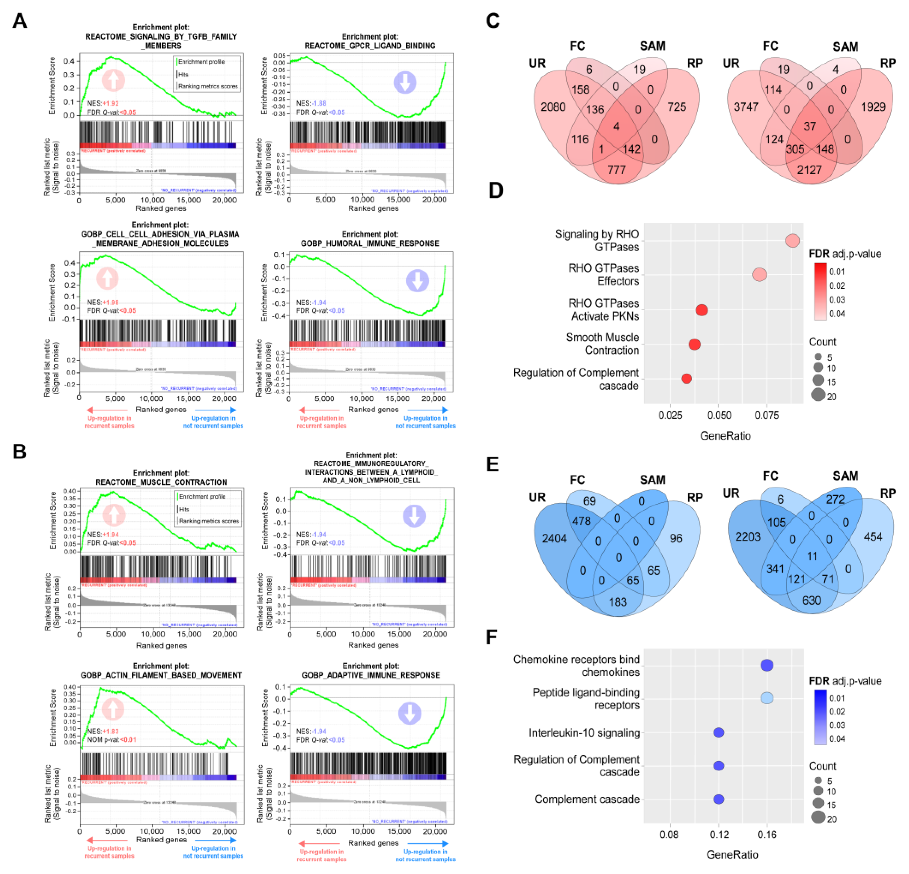 Preprints 116247 g002