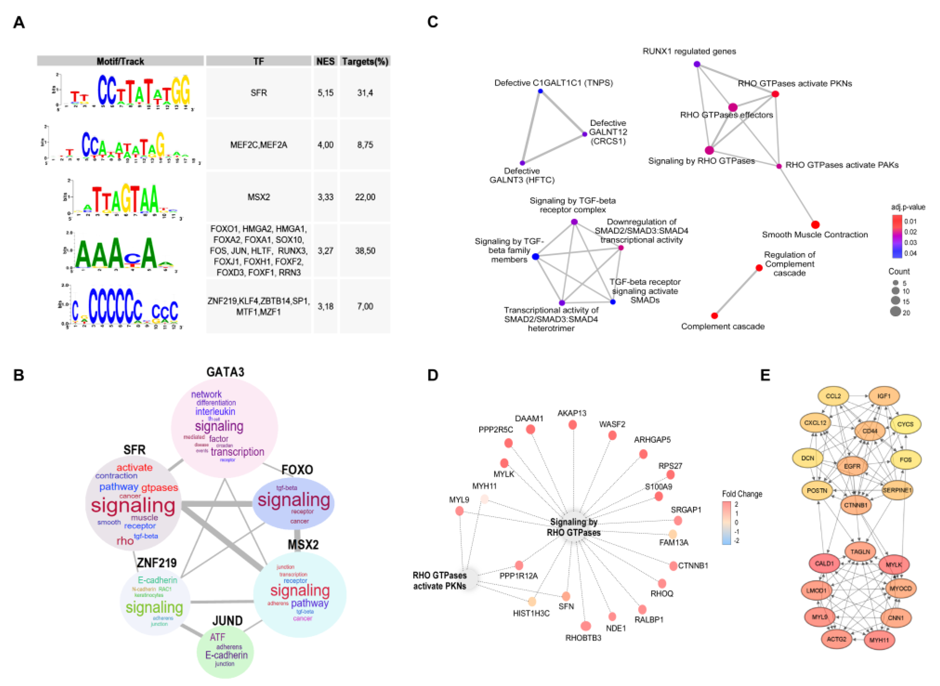 Preprints 116247 g003