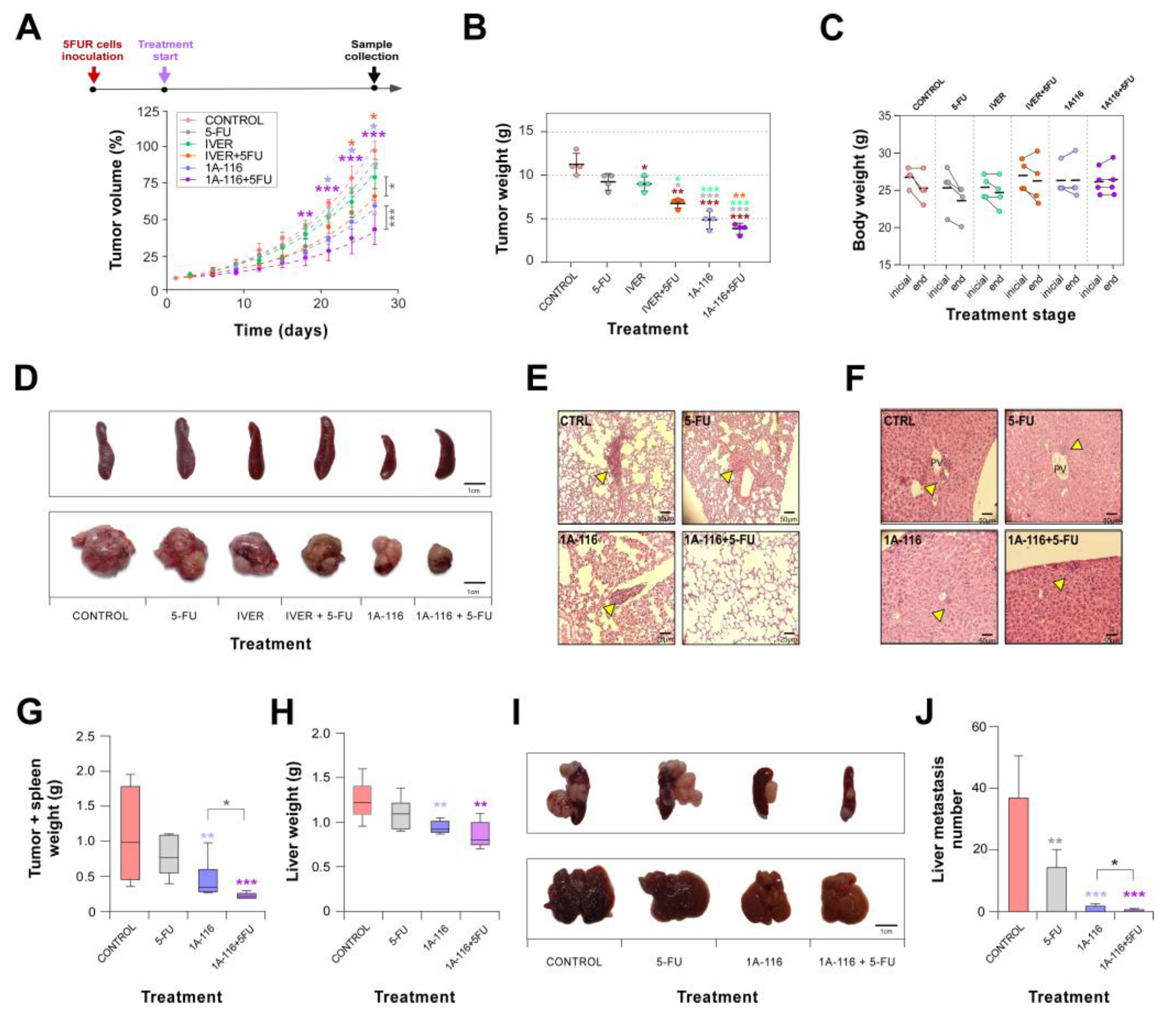 Preprints 116247 g006