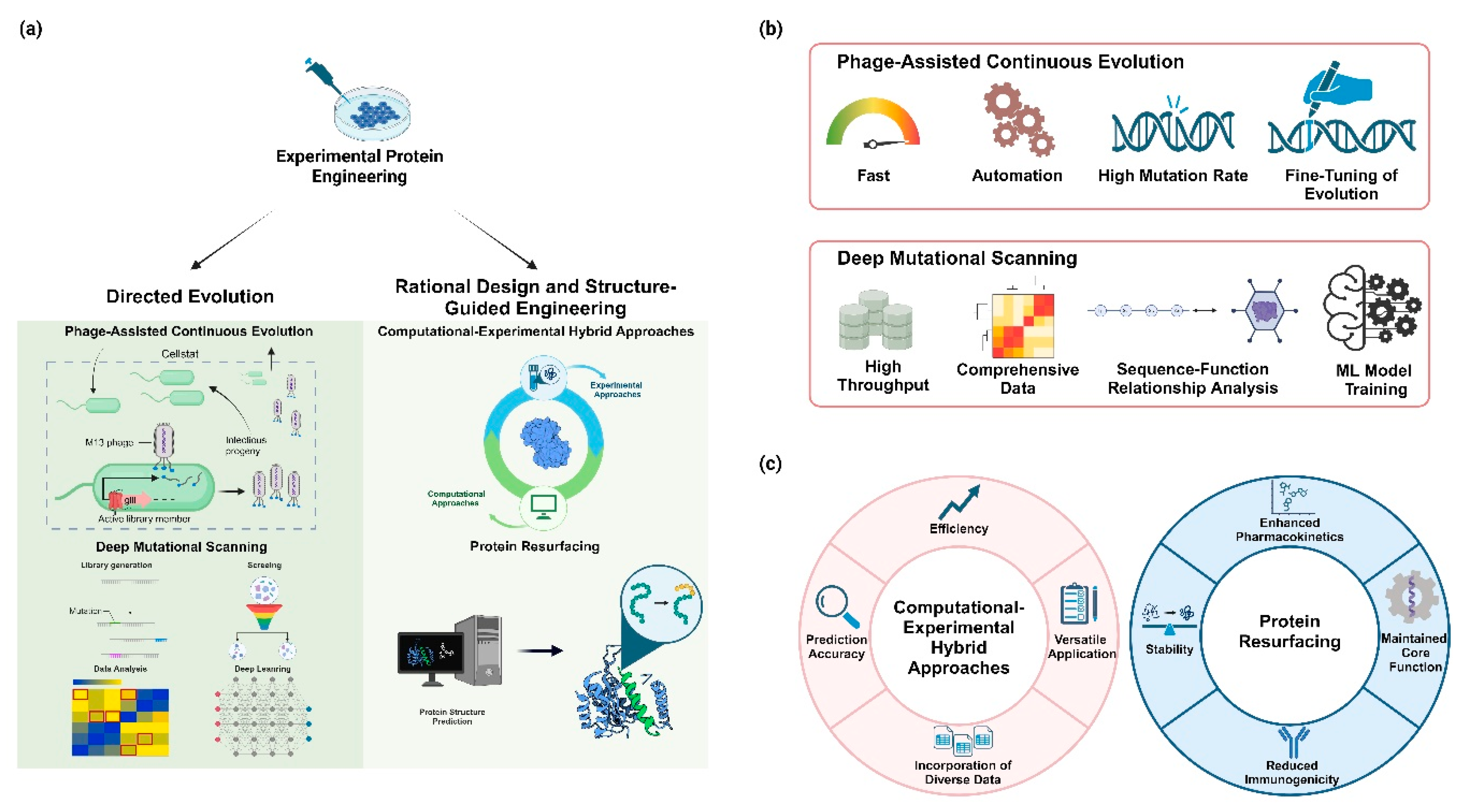 Preprints 113083 g002