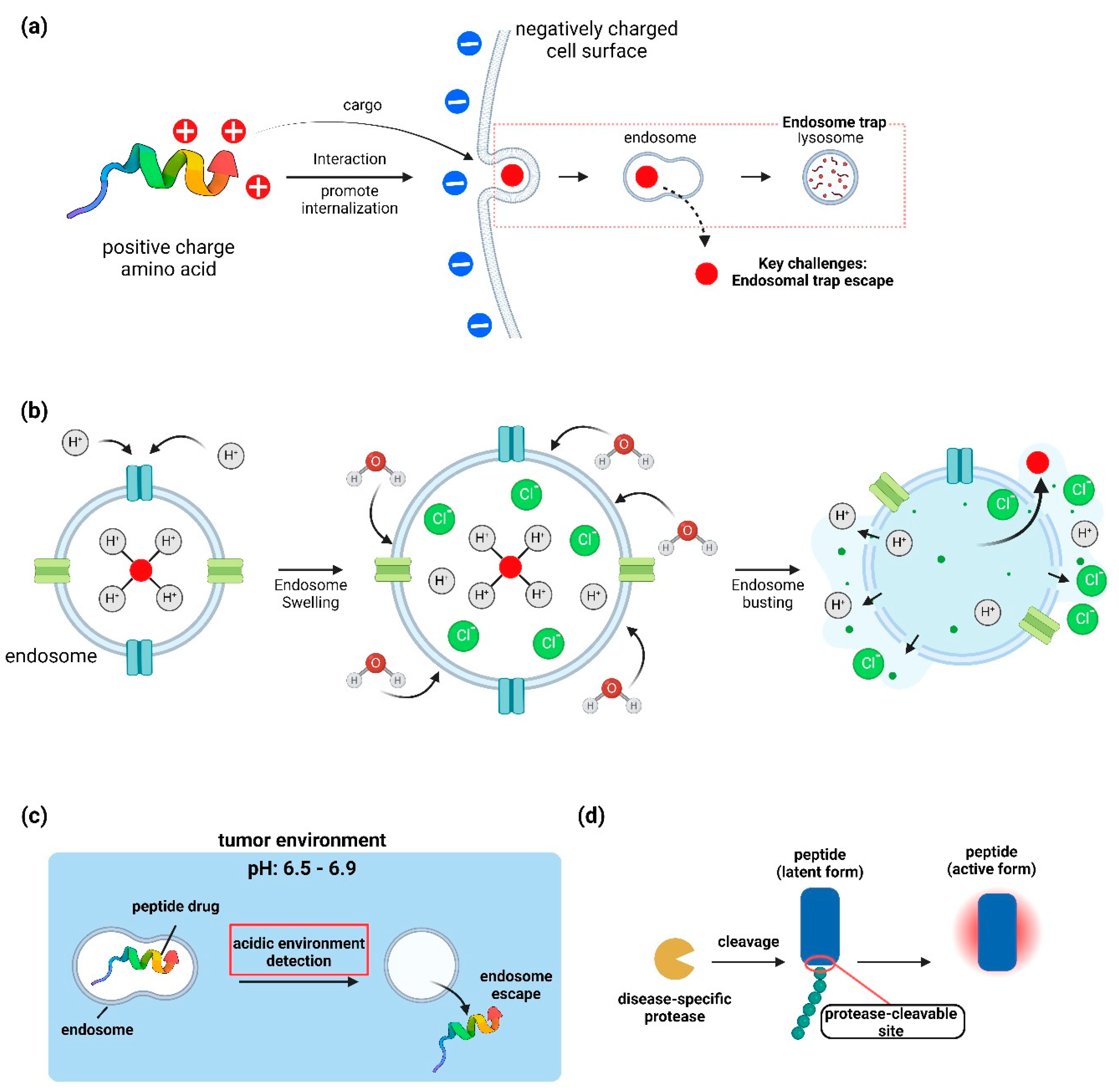 Preprints 113083 g004