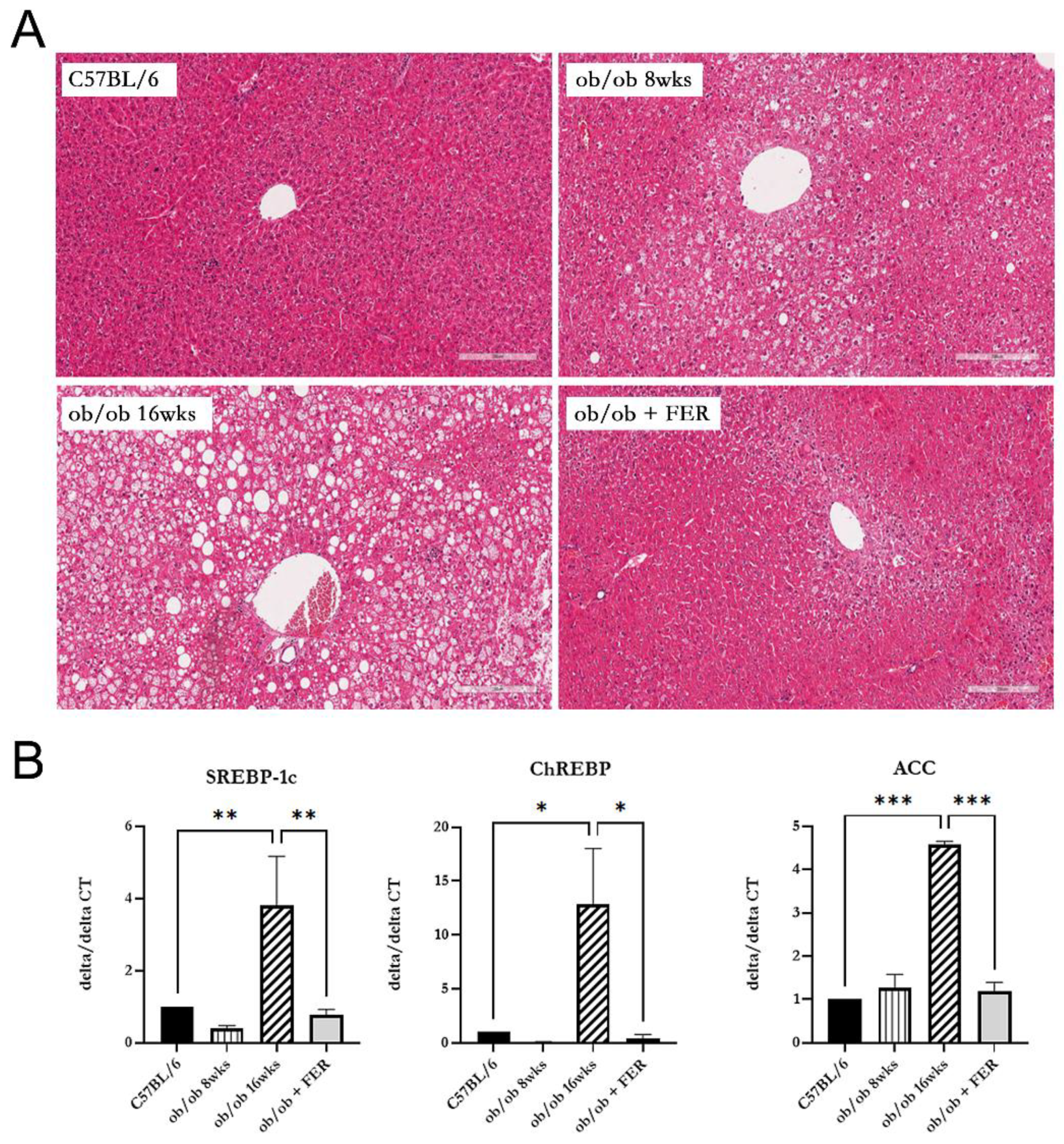 Preprints 121869 g002