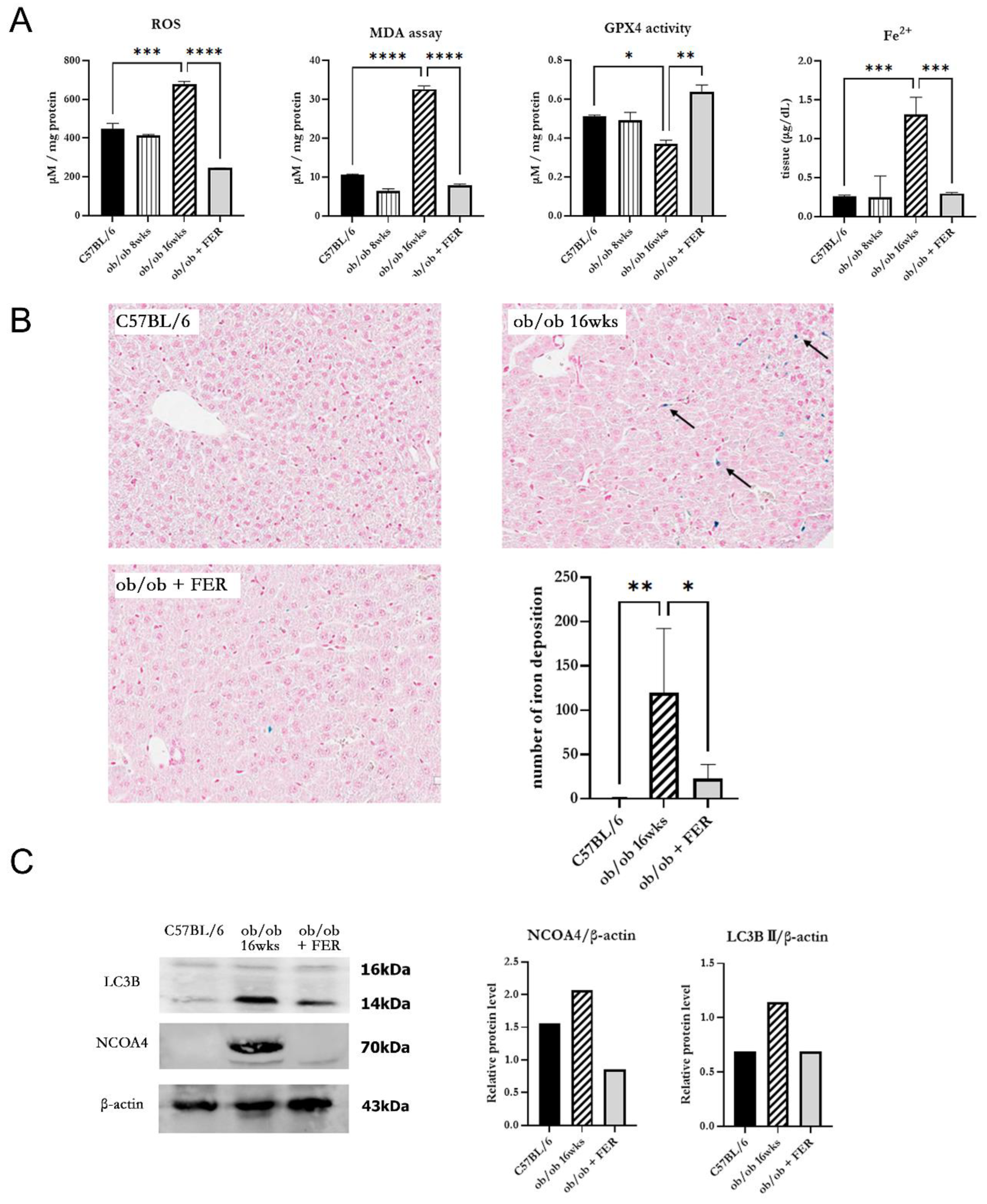 Preprints 121869 g003