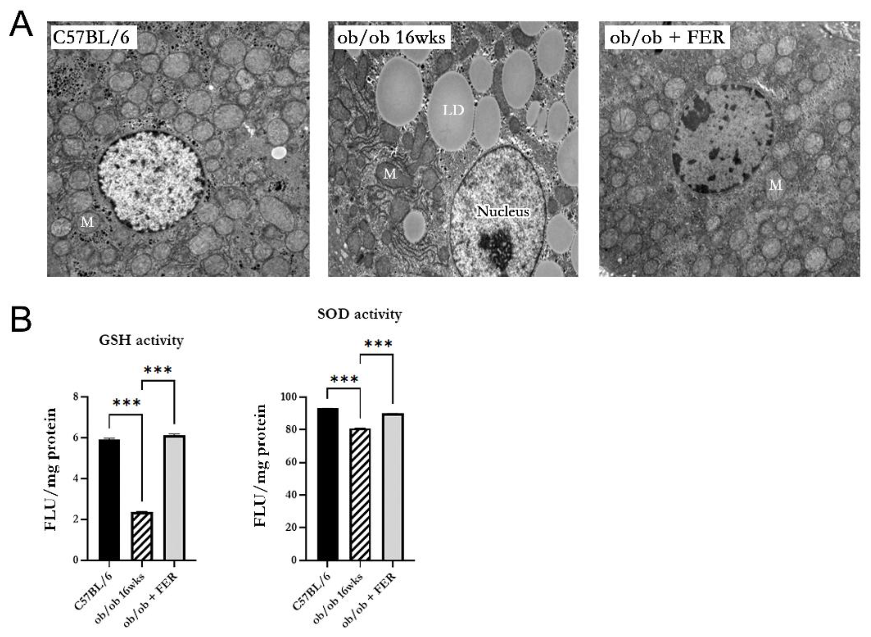 Preprints 121869 g006