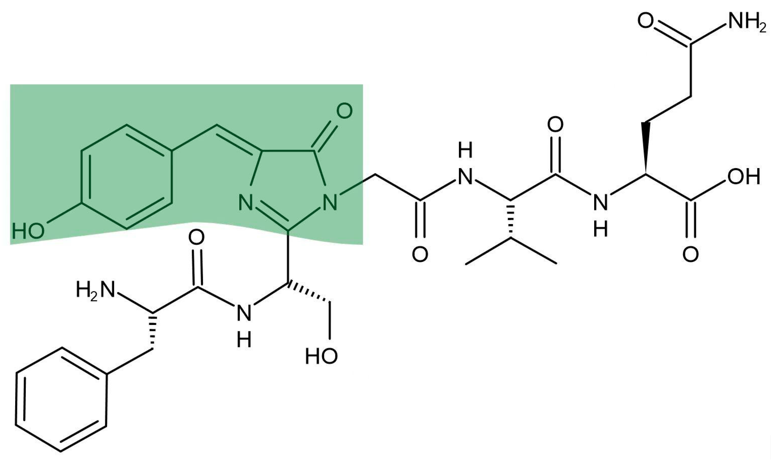 Preprints 91115 g001