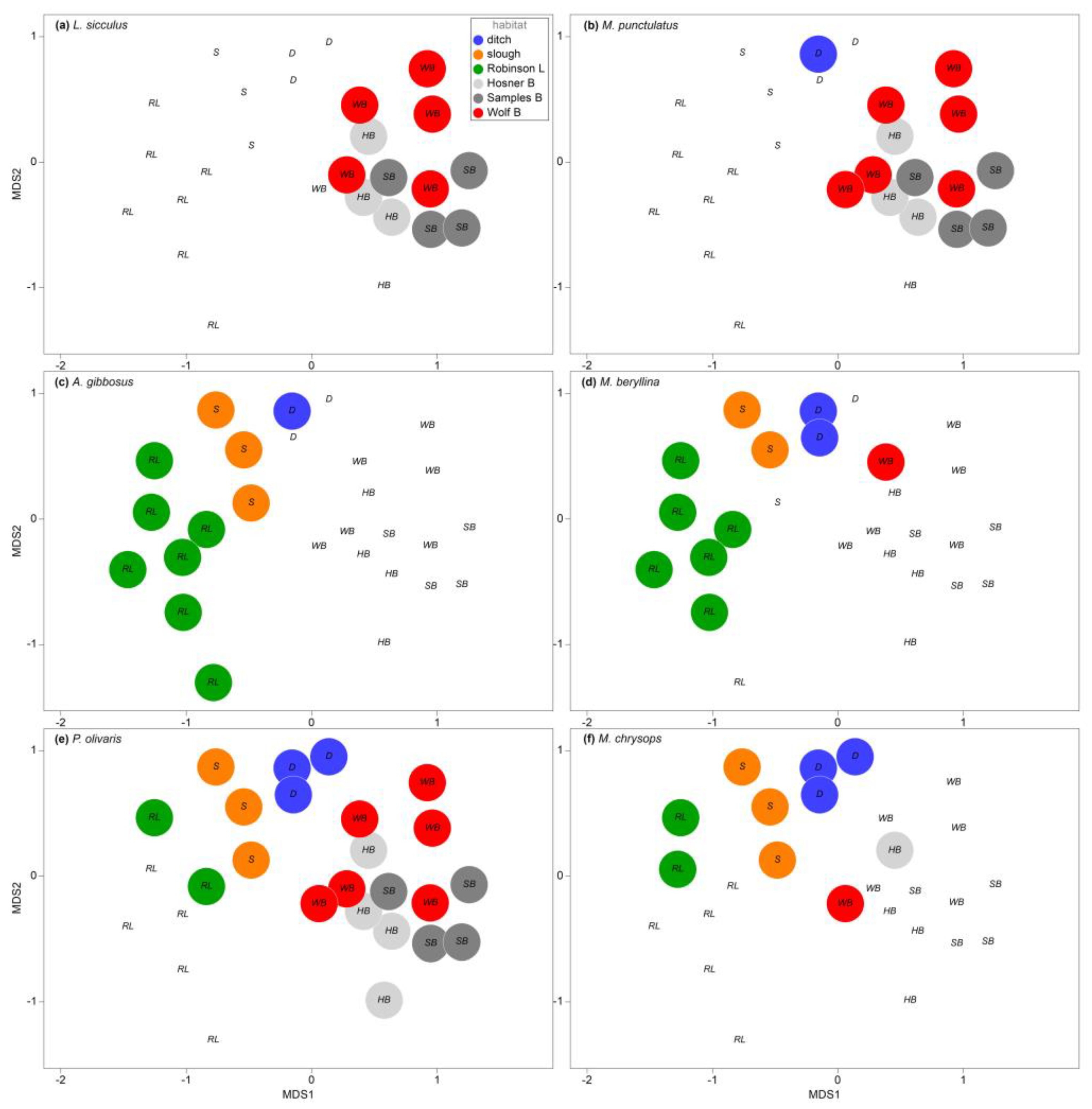 Preprints 112942 g005