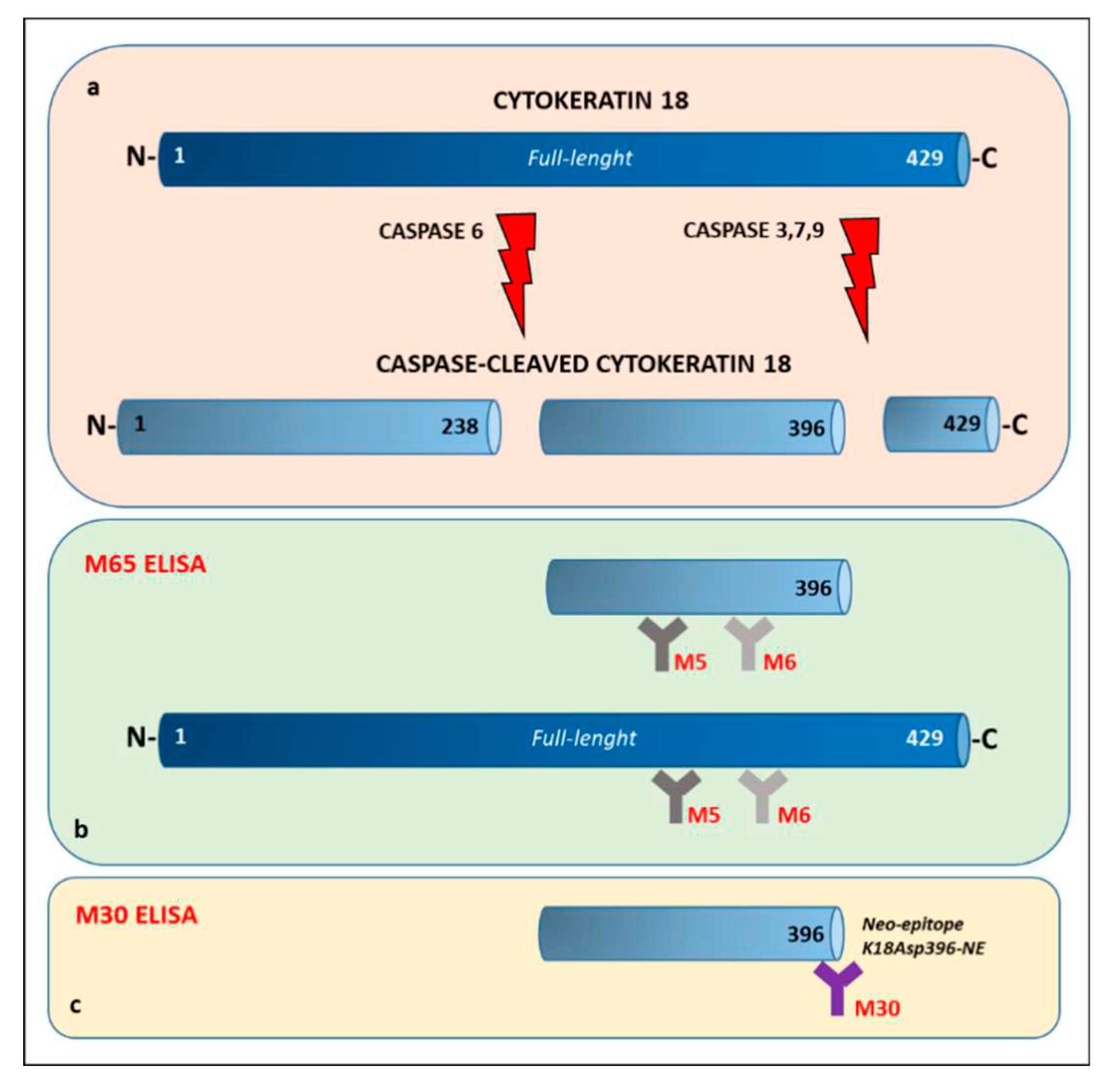 Preprints 77414 g001