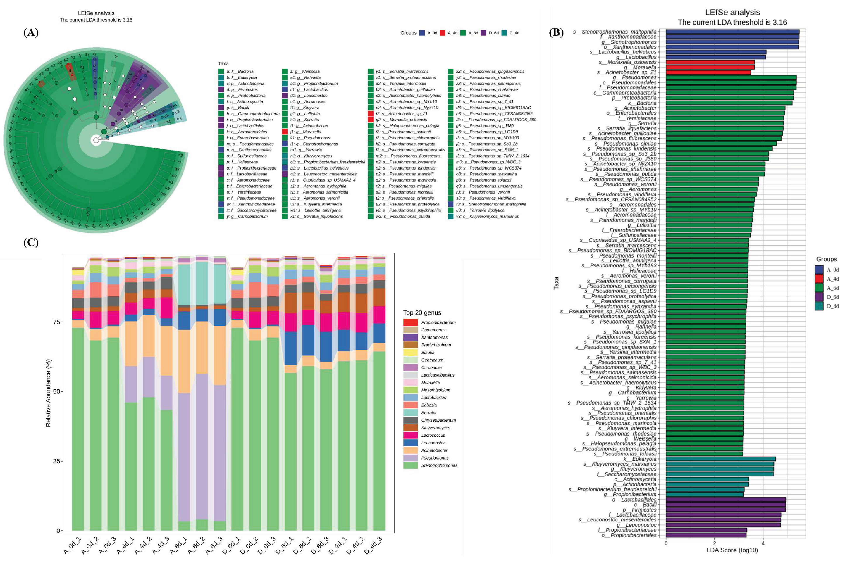 Preprints 92348 g003