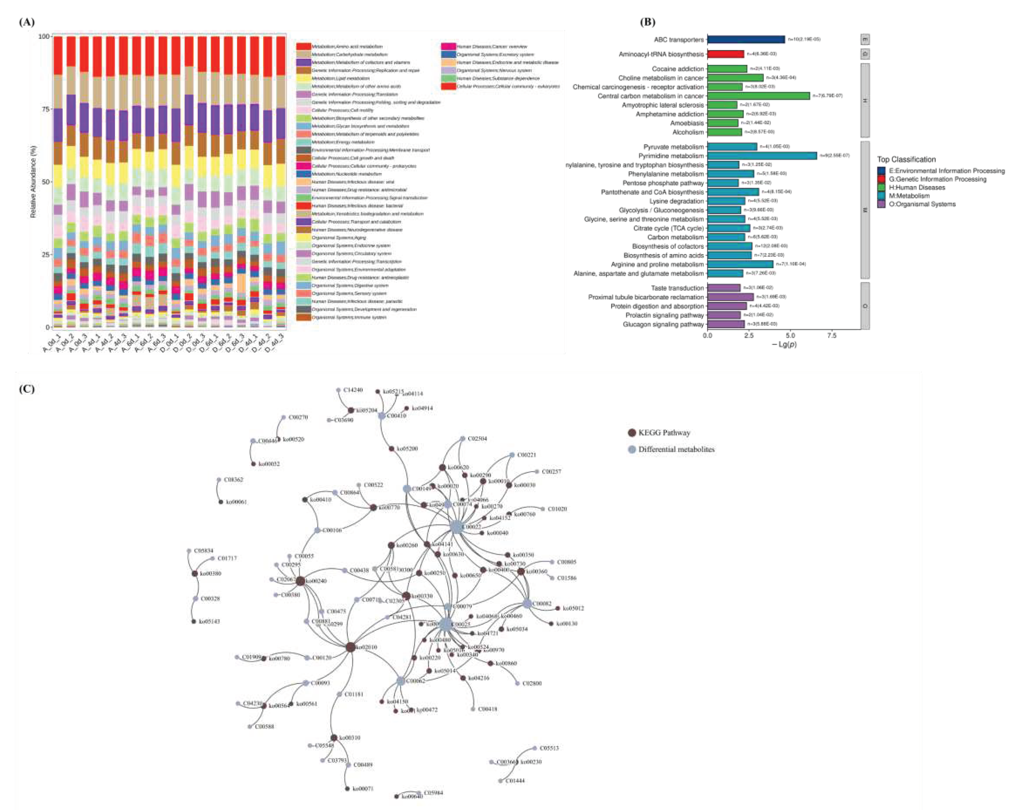 Preprints 92348 g008