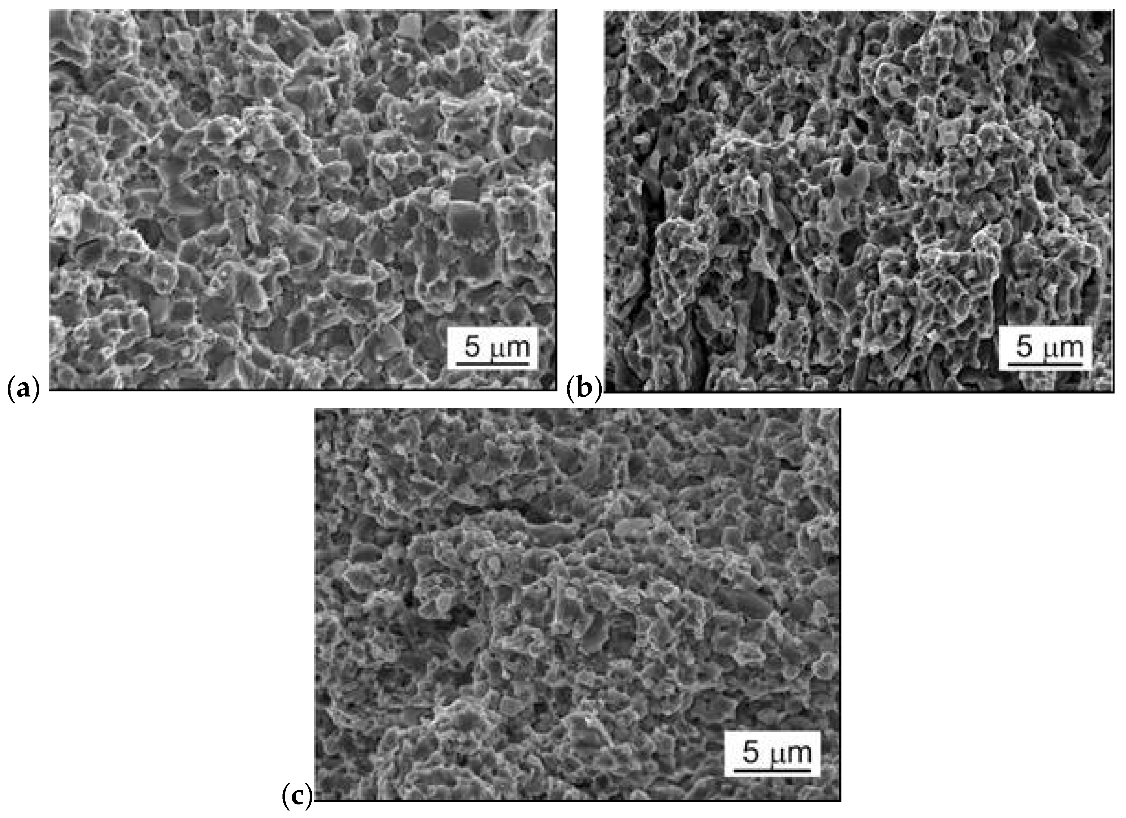 Preprints 78702 g006