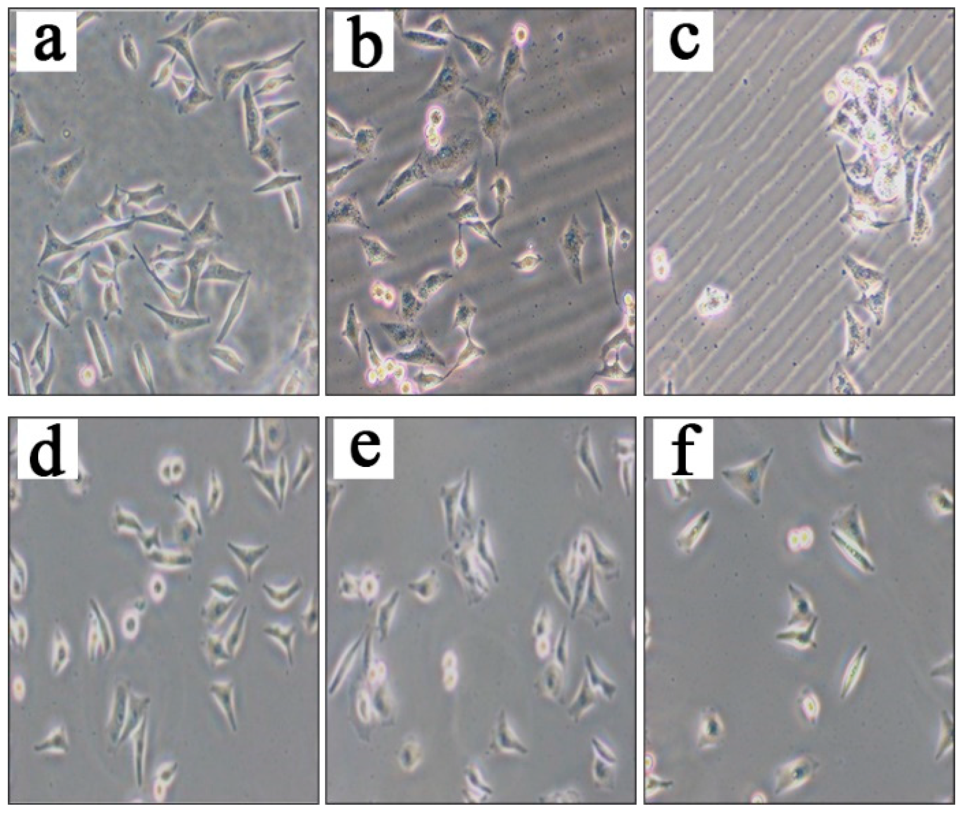 Preprints 94042 g002