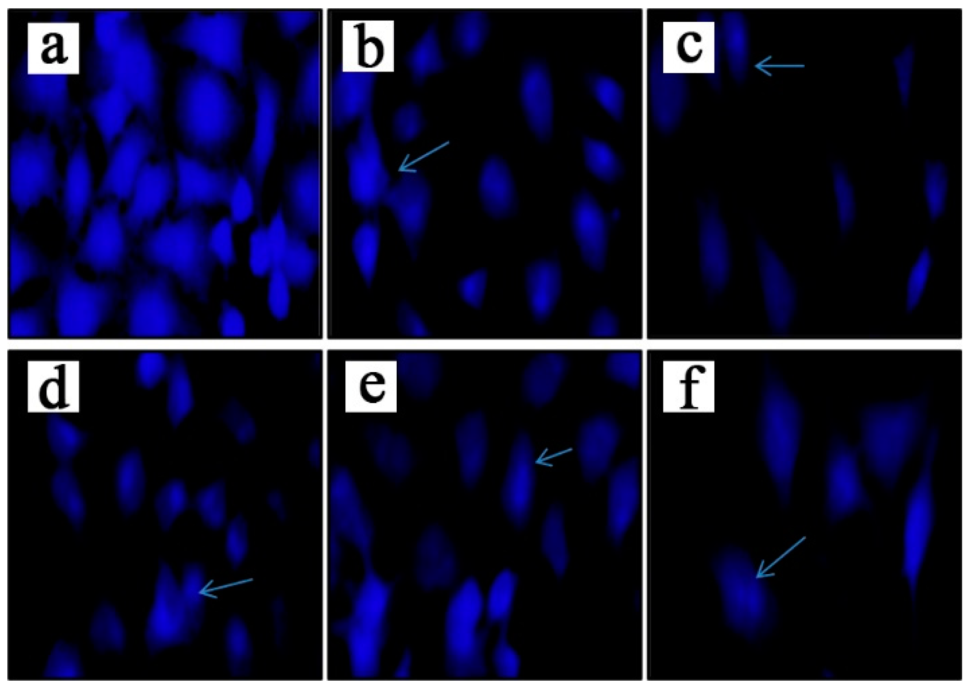 Preprints 94042 g003