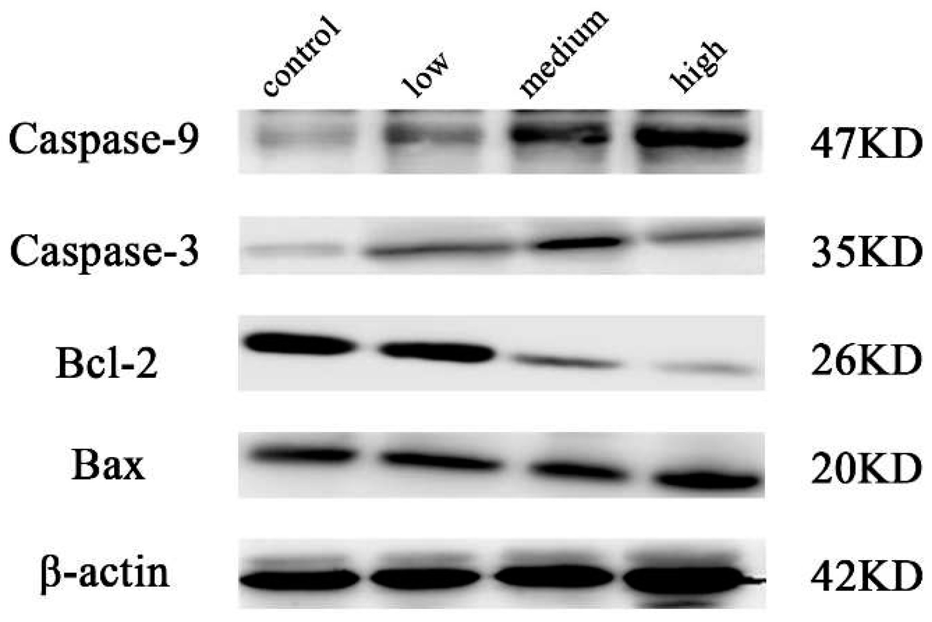 Preprints 94042 g006