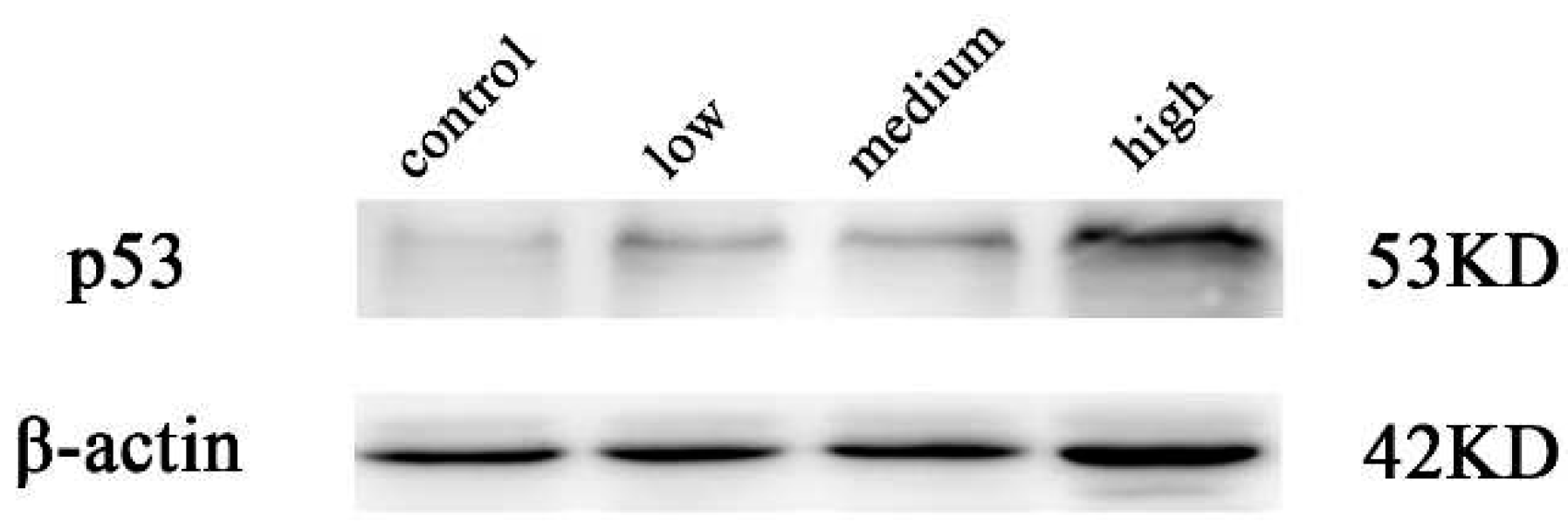 Preprints 94042 g007