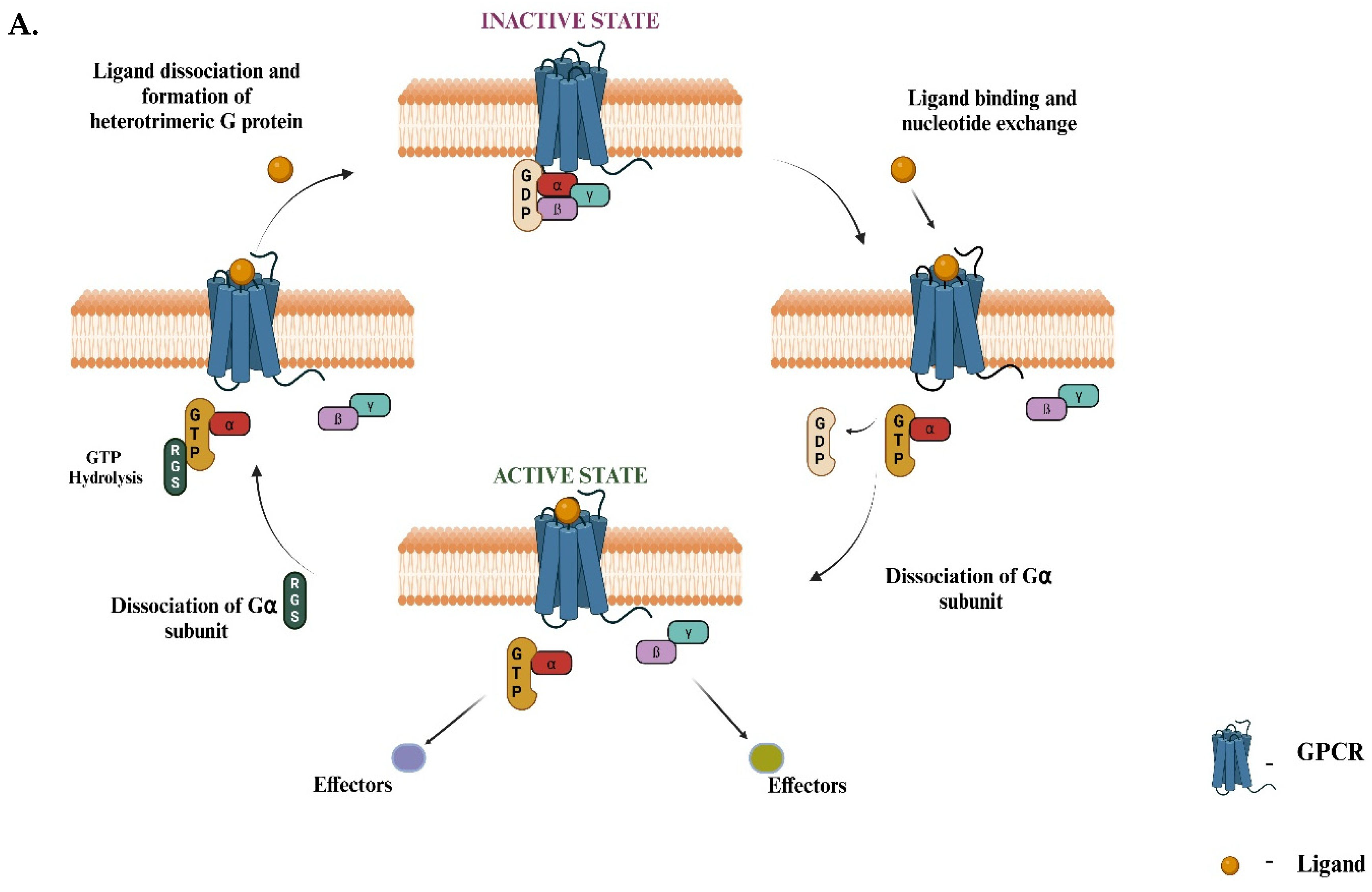 Preprints 138009 g001a