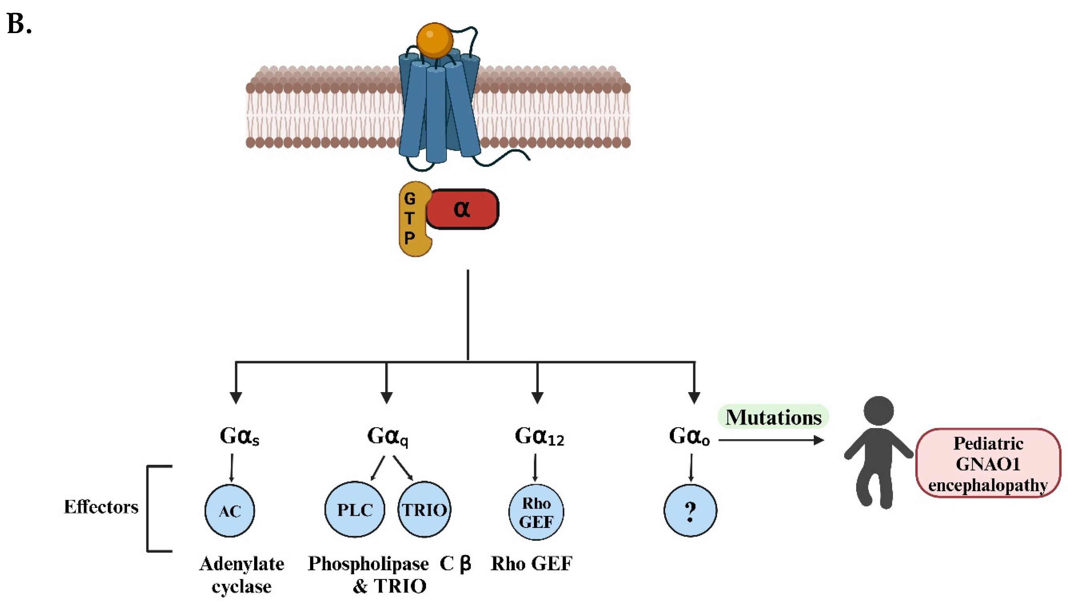 Preprints 138009 g001b