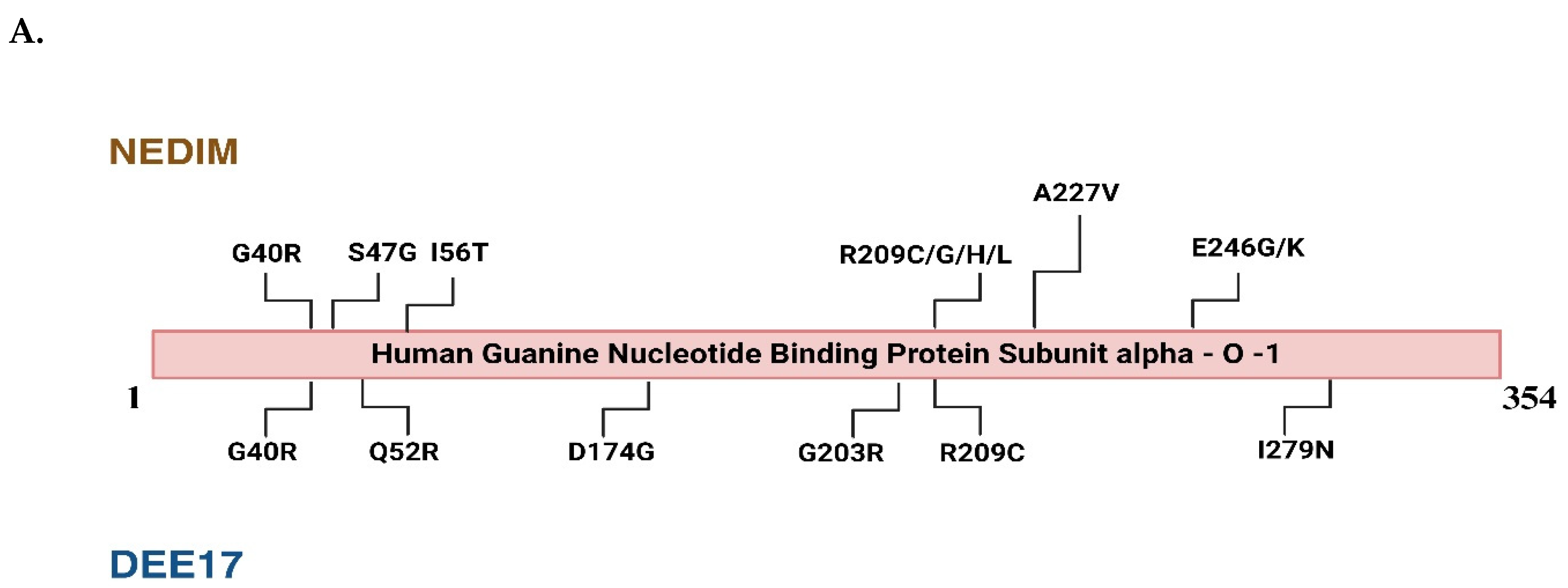 Preprints 138009 g002a