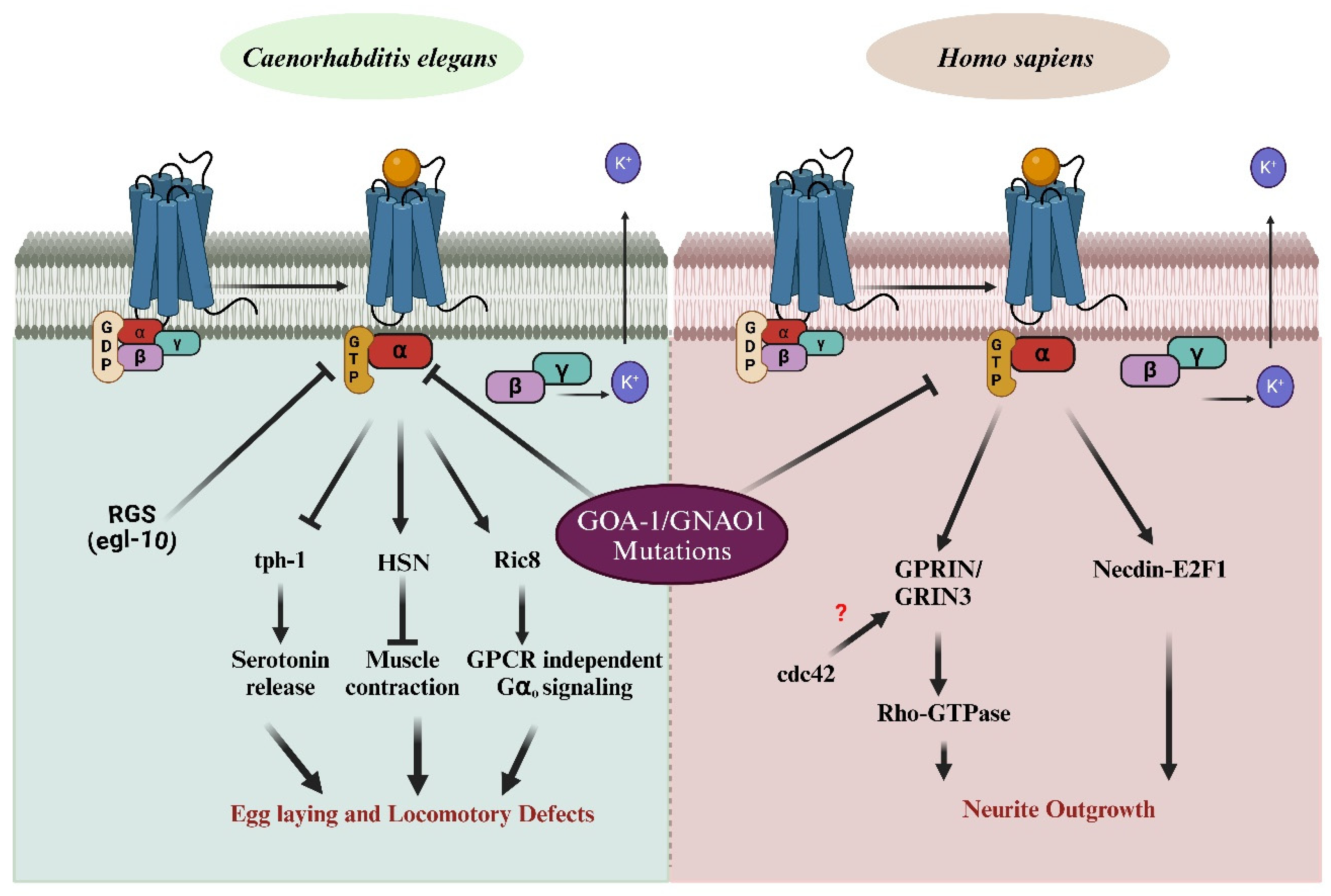 Preprints 138009 g003