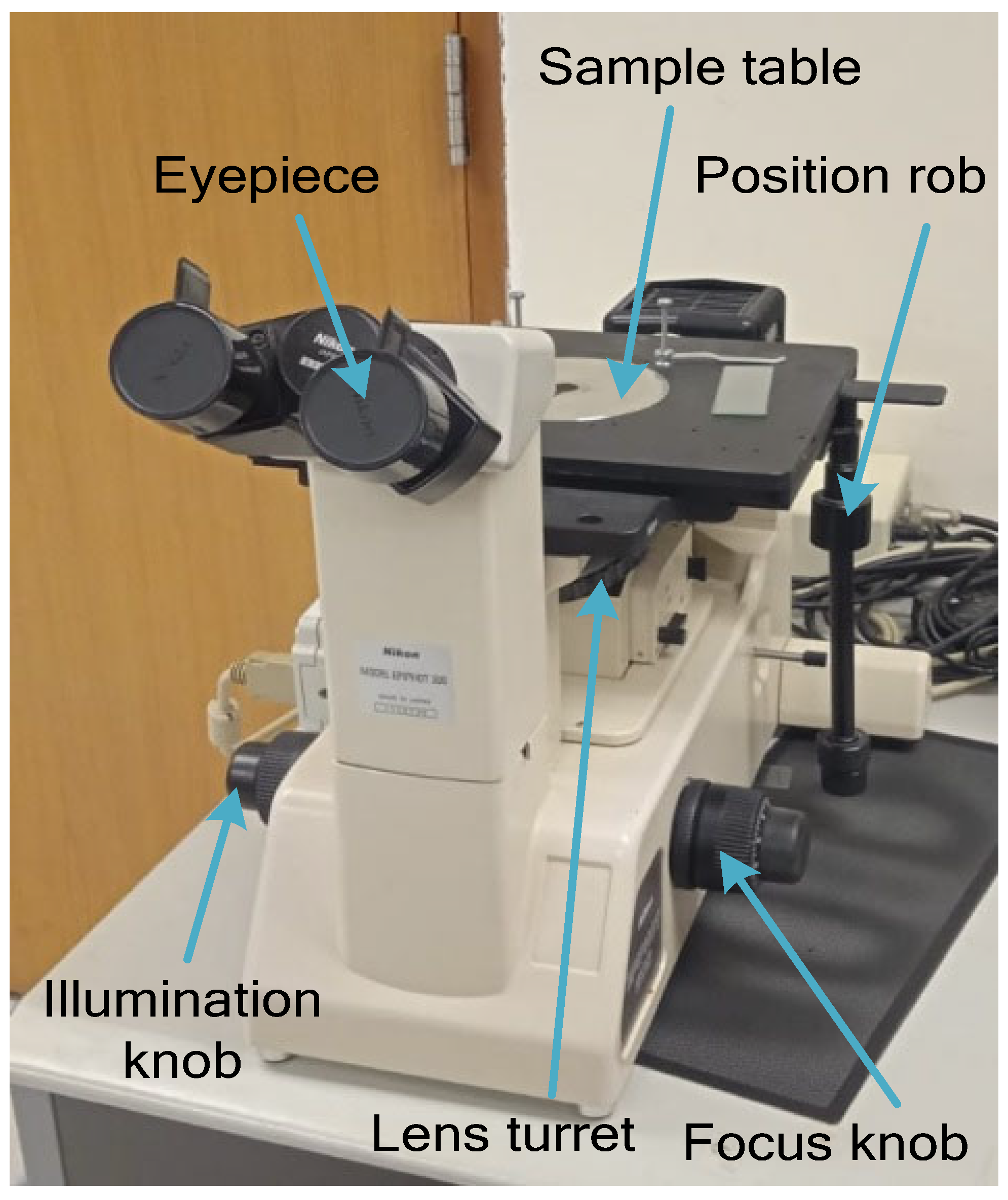 Preprints 105560 g015