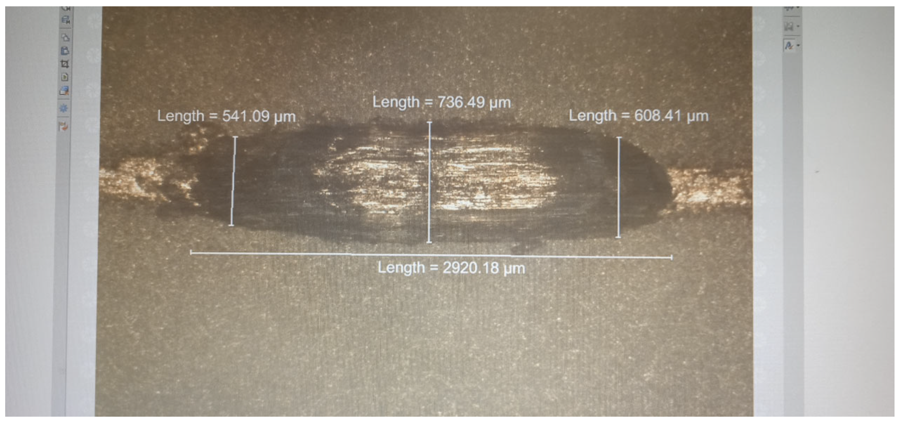 Preprints 105560 g016