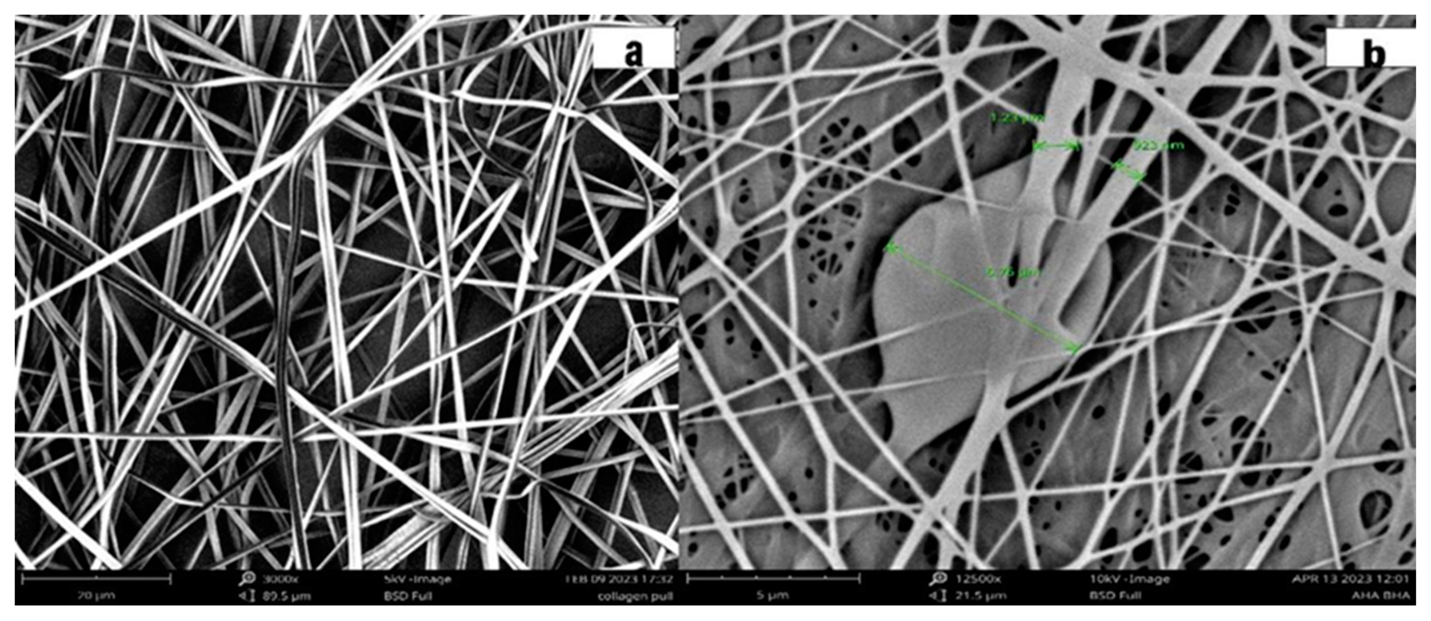 Preprints 89450 g001