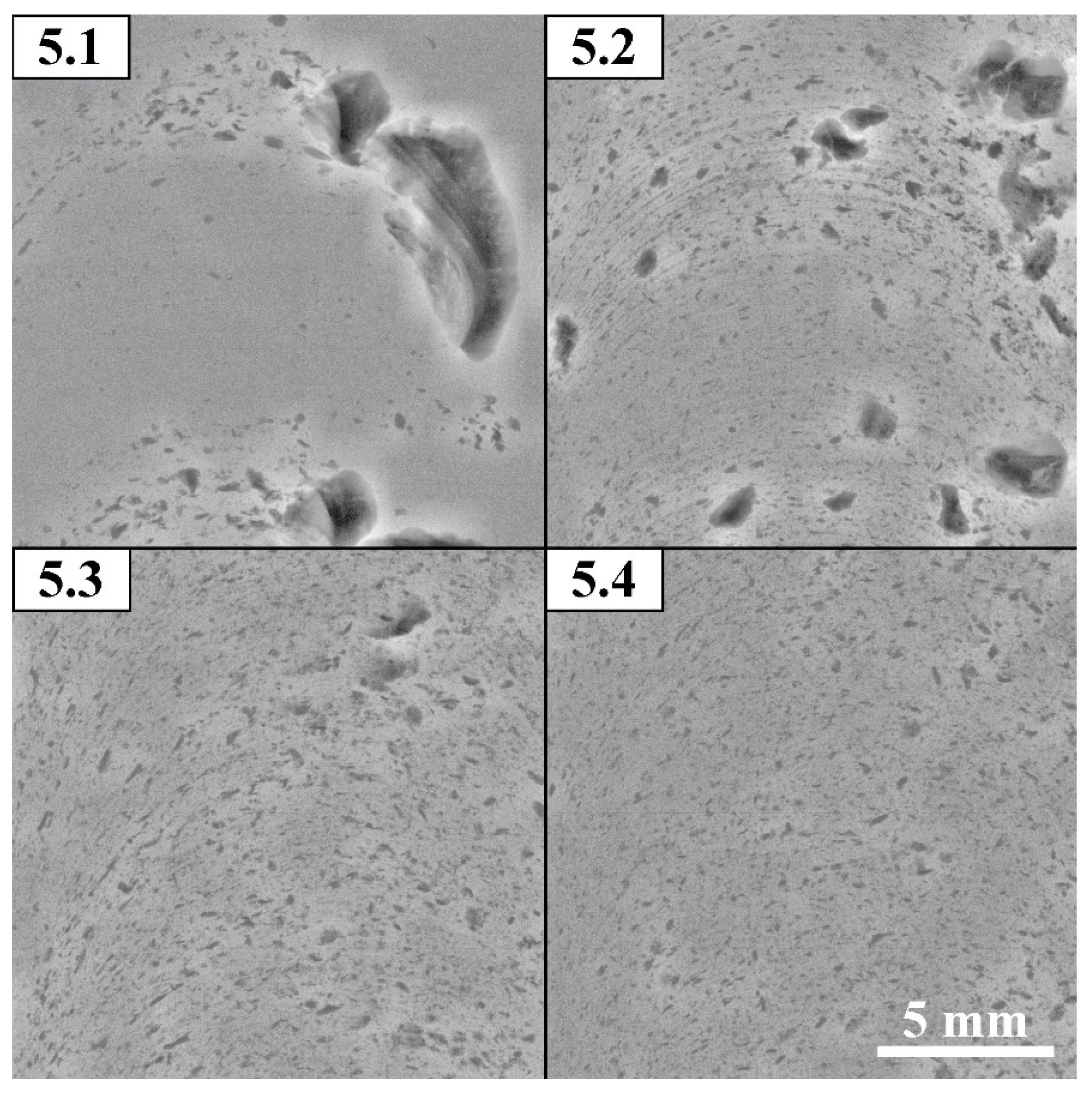 Preprints 88280 g006