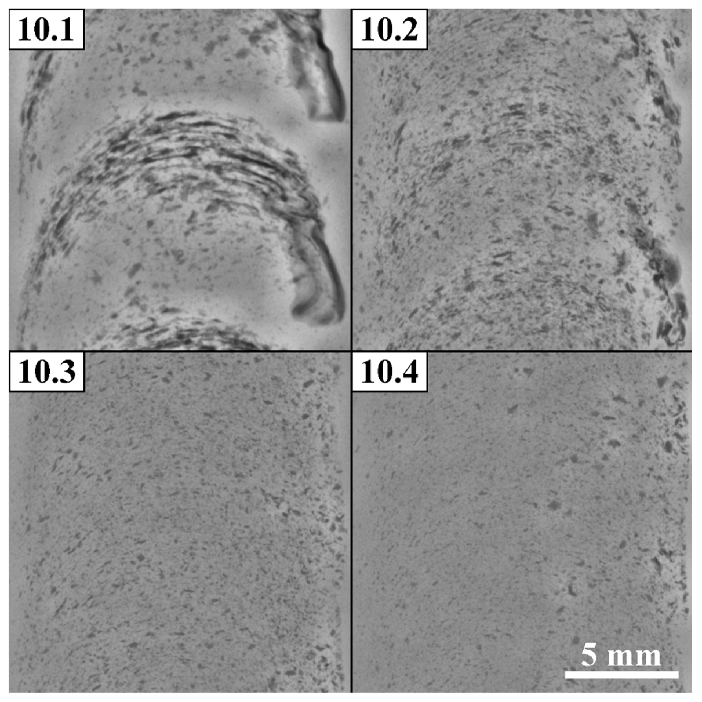 Preprints 88280 g013