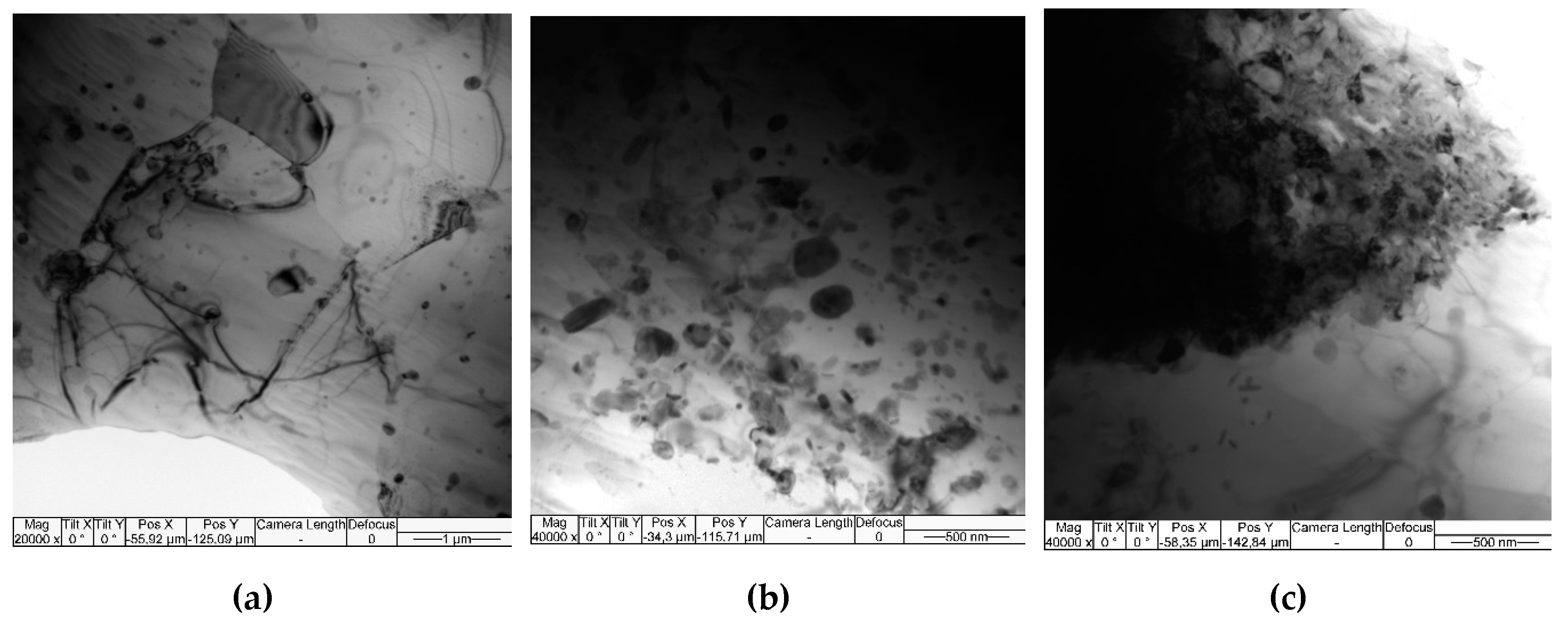 Preprints 88280 g014