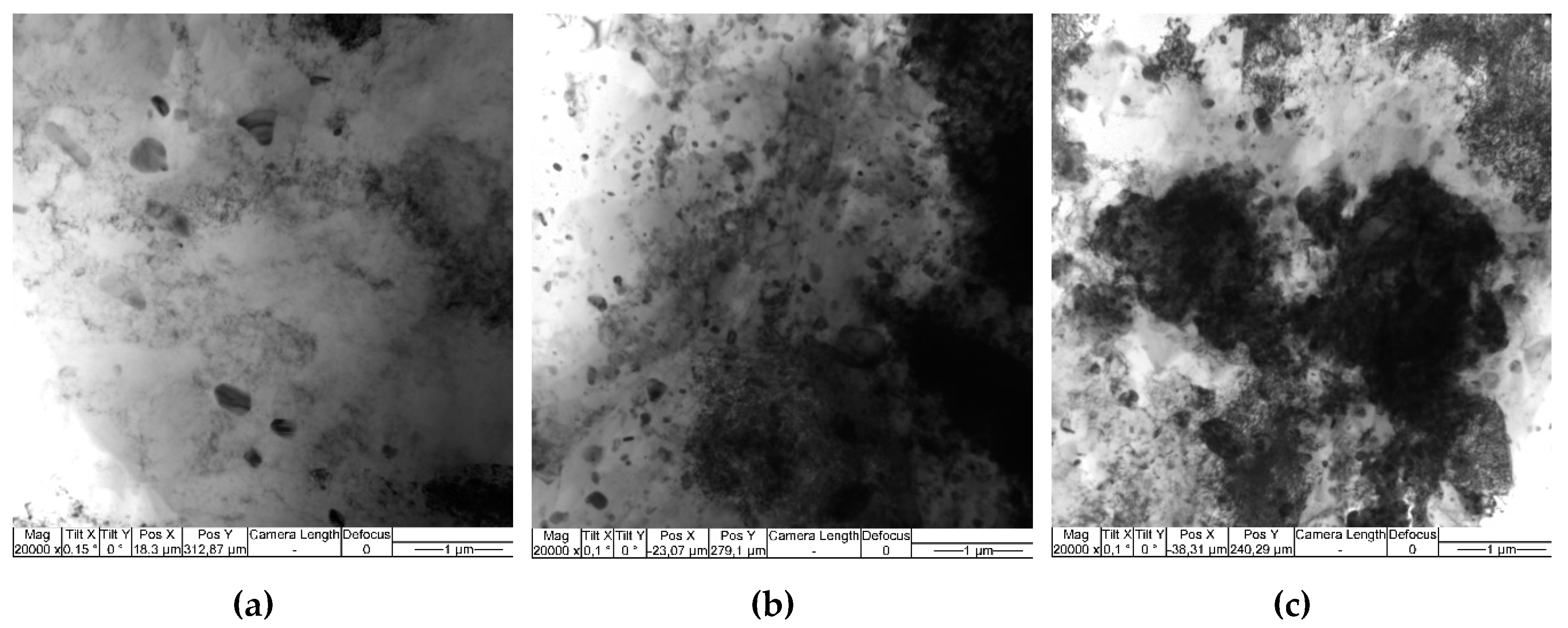 Preprints 88280 g019