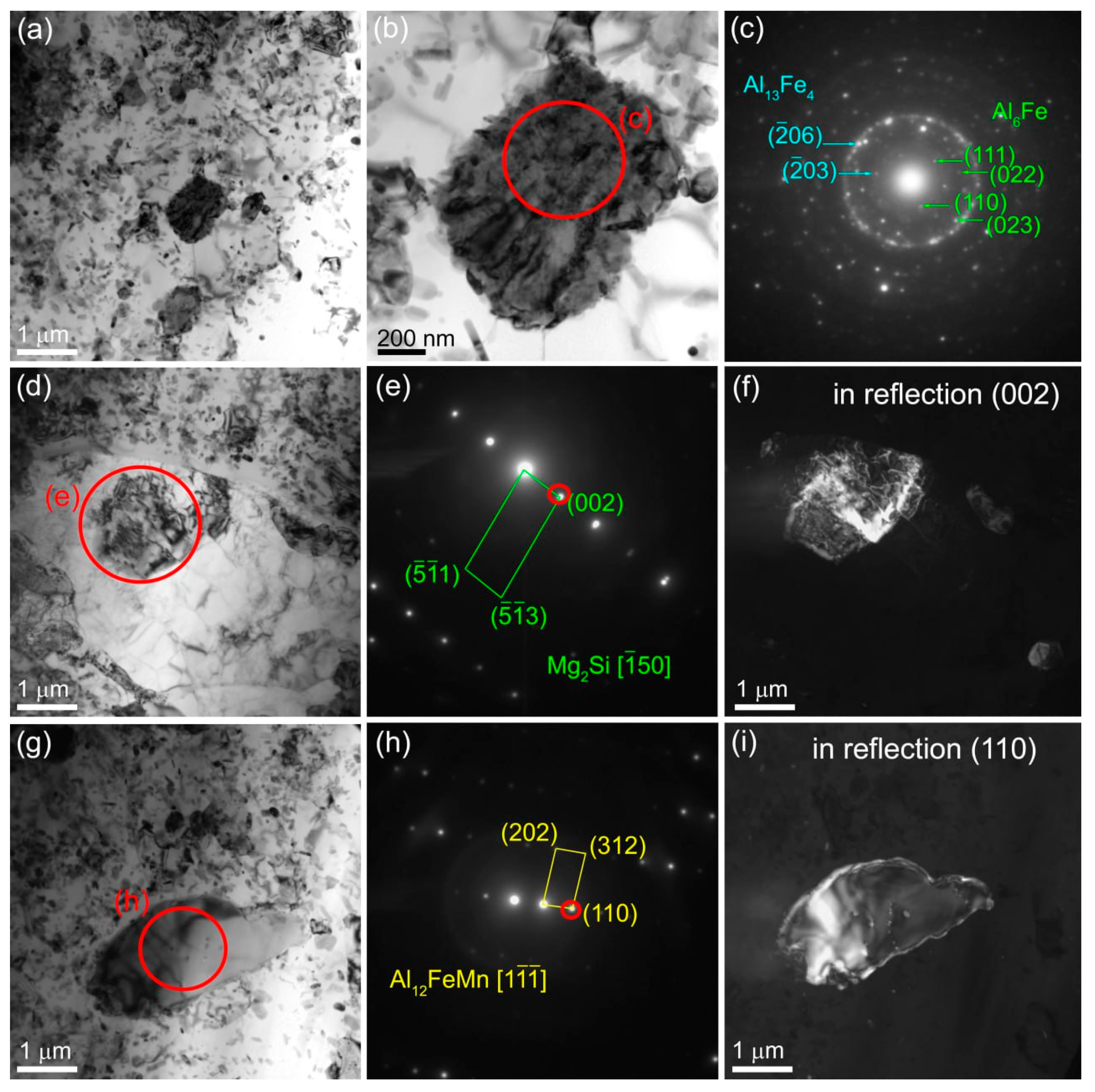 Preprints 88280 g020