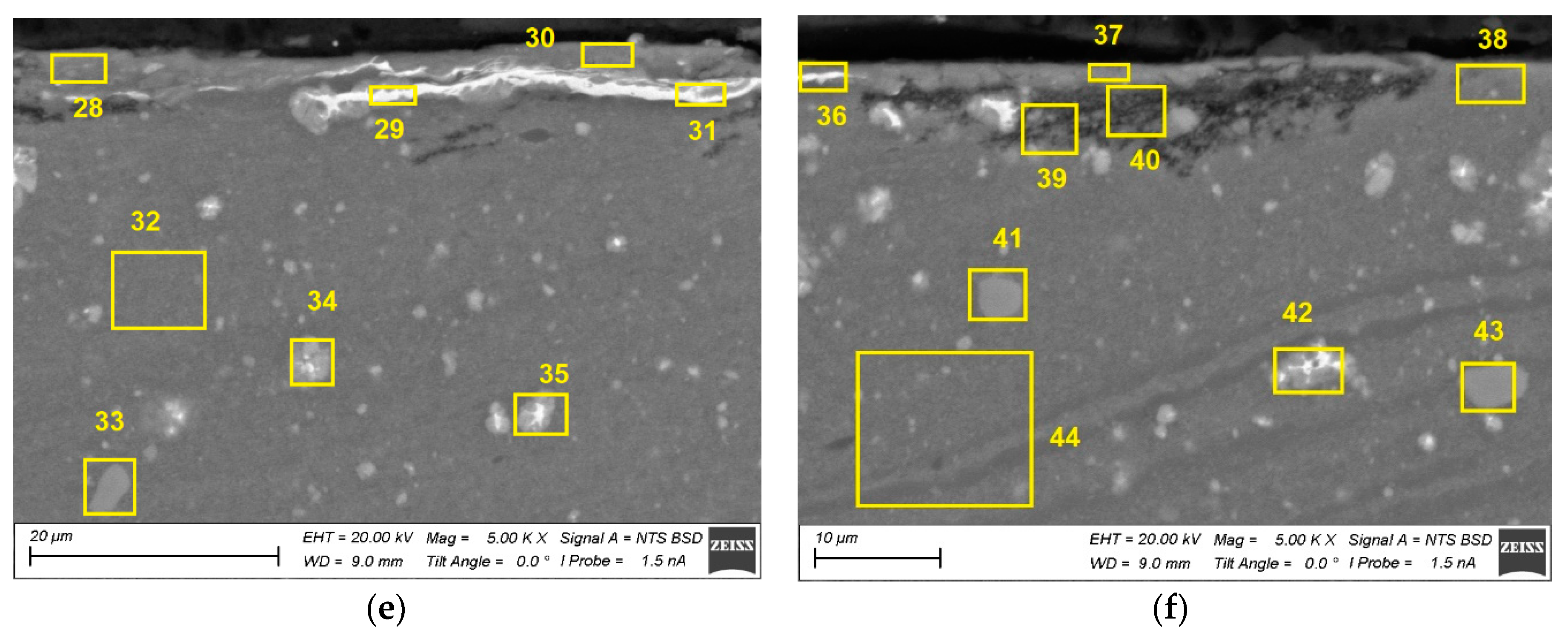 Preprints 88280 g026b