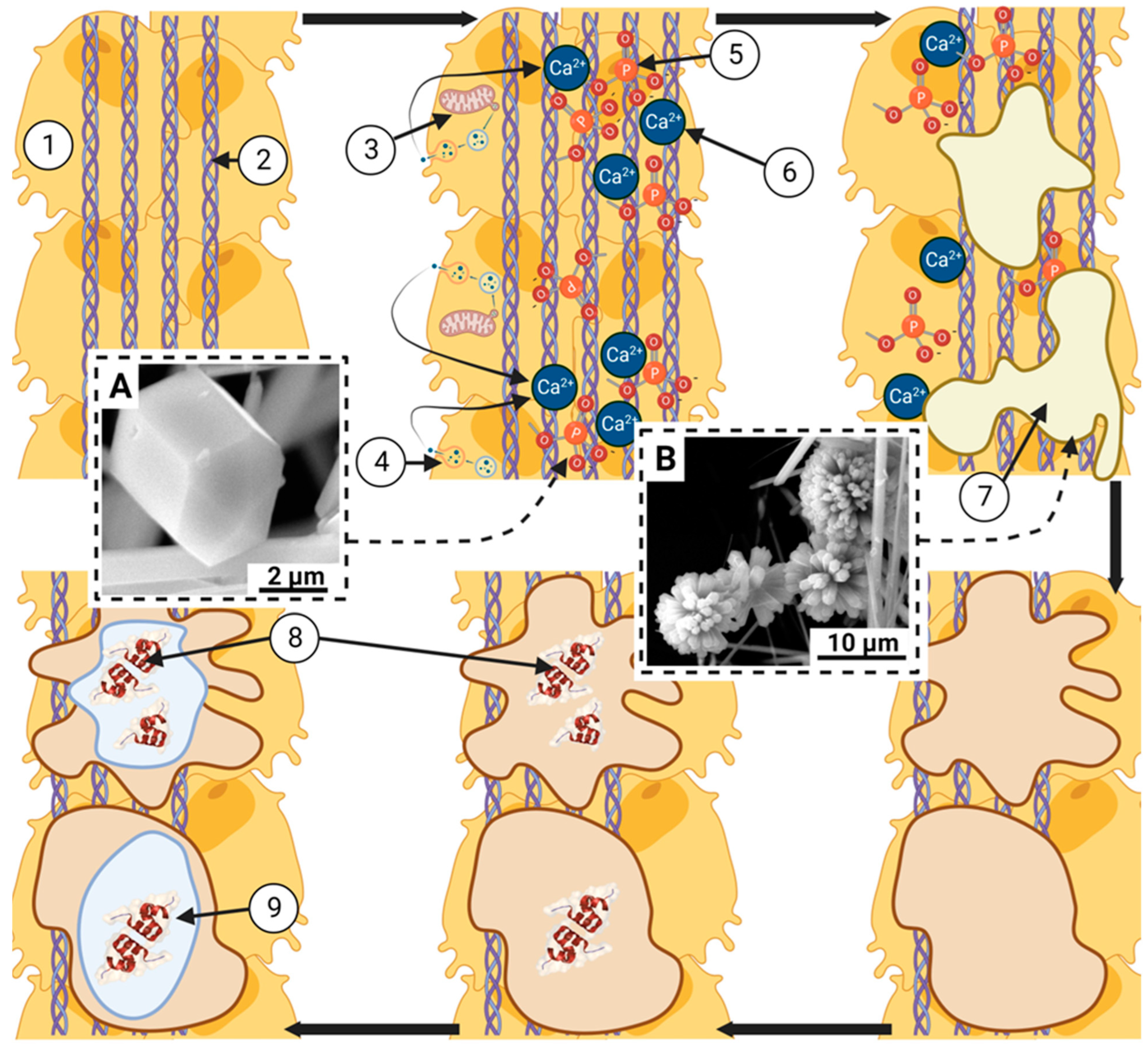 Preprints 91531 g001