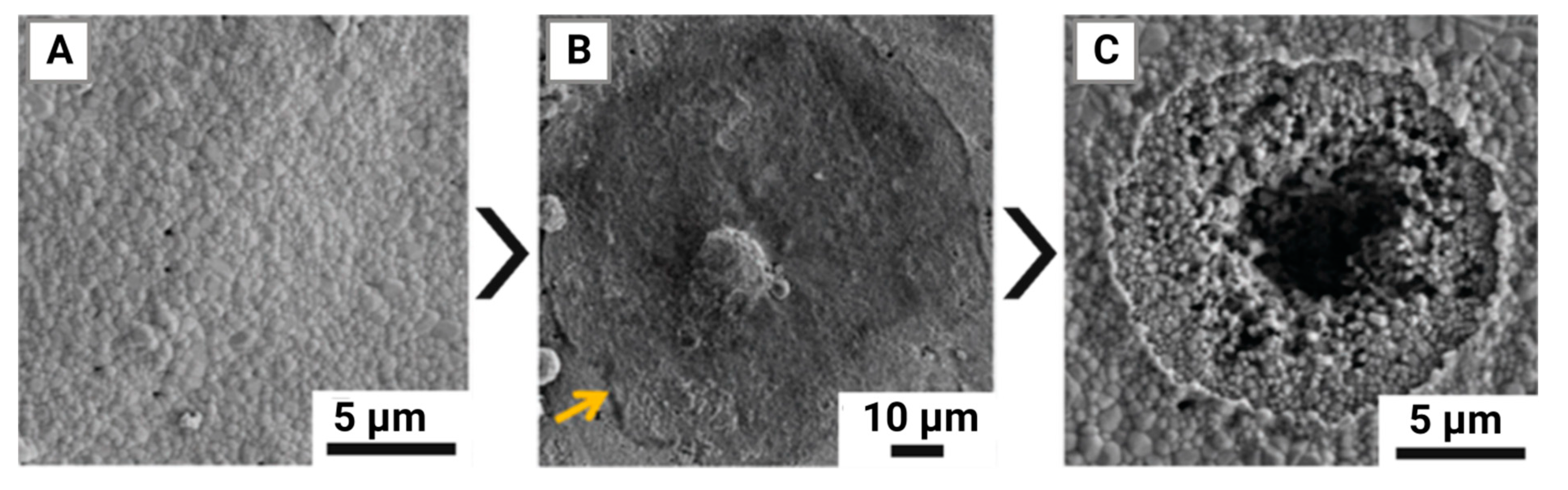 Preprints 91531 g006