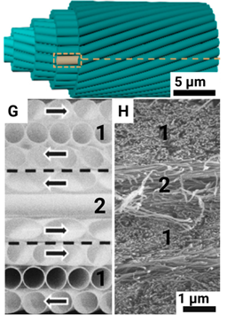 Preprints 91531 i006