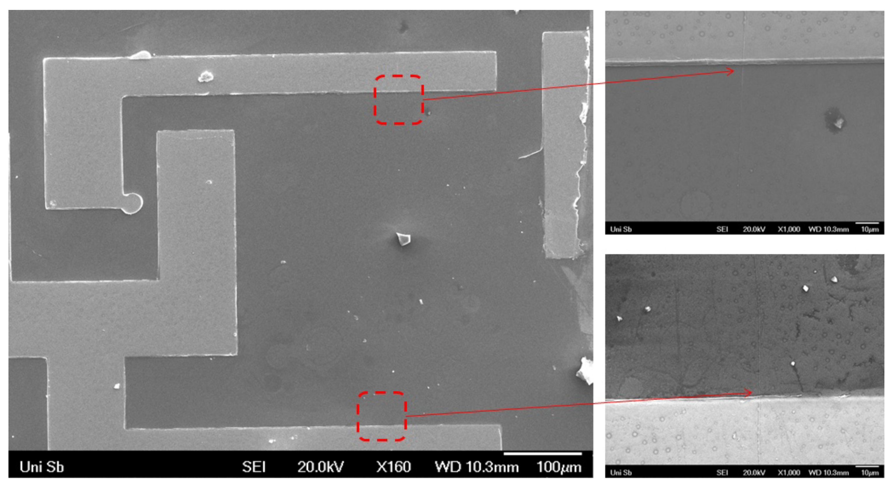 Preprints 81445 g003