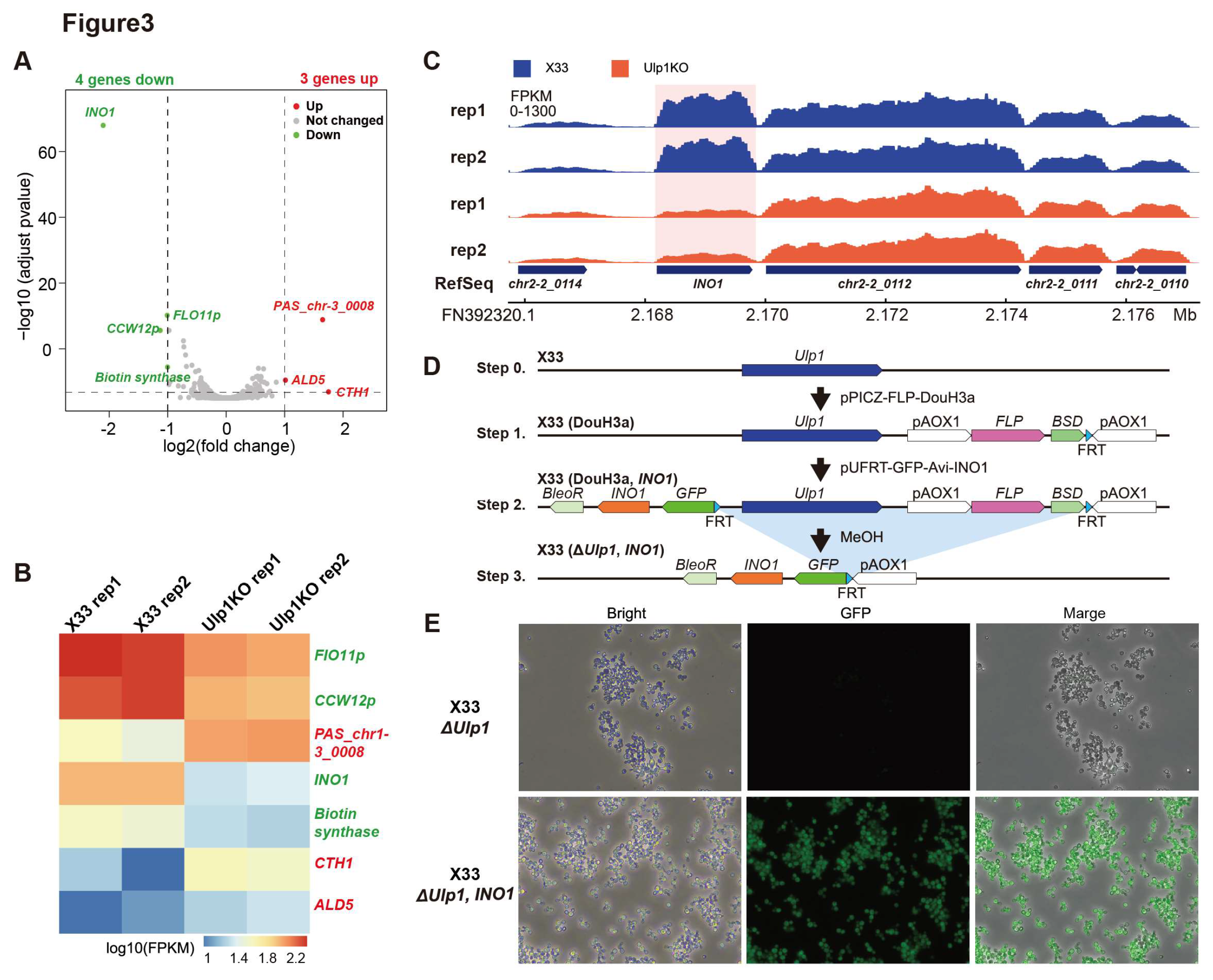 Preprints 121982 g003