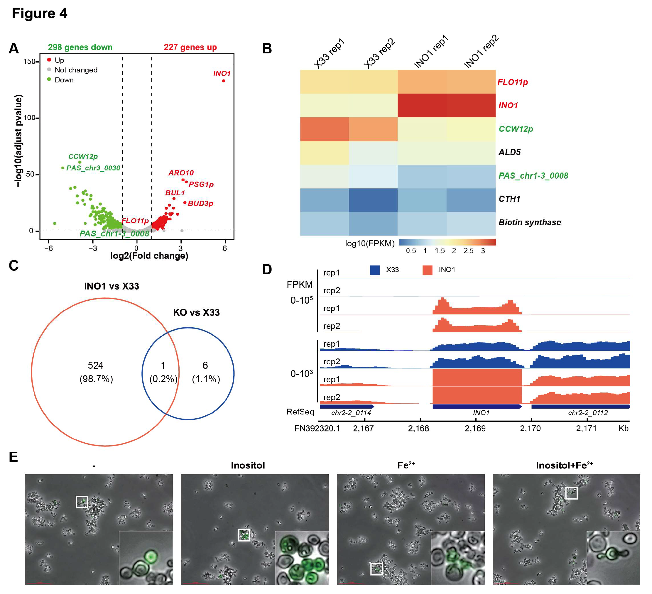 Preprints 121982 g004